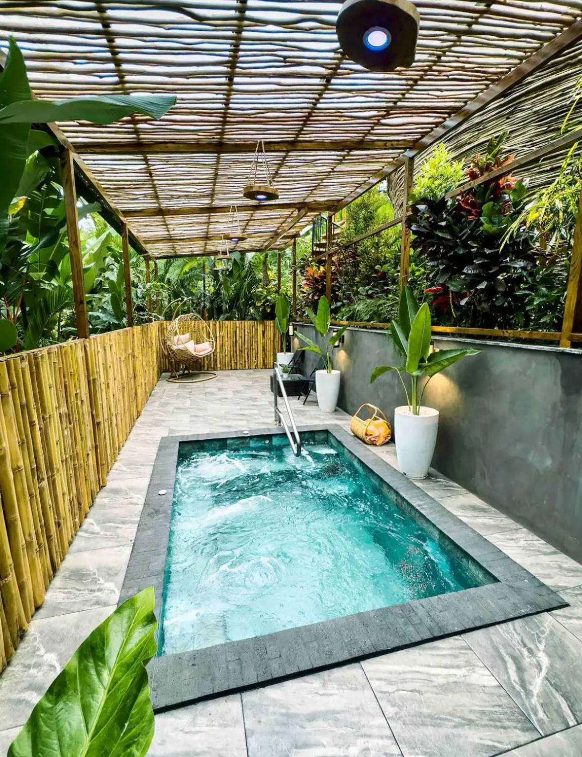 Arenal Nest