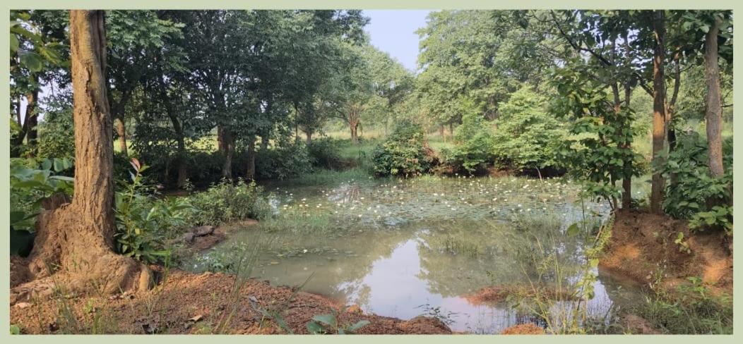 Sobuj Thikana Villa Resort and Jungle camp view 3