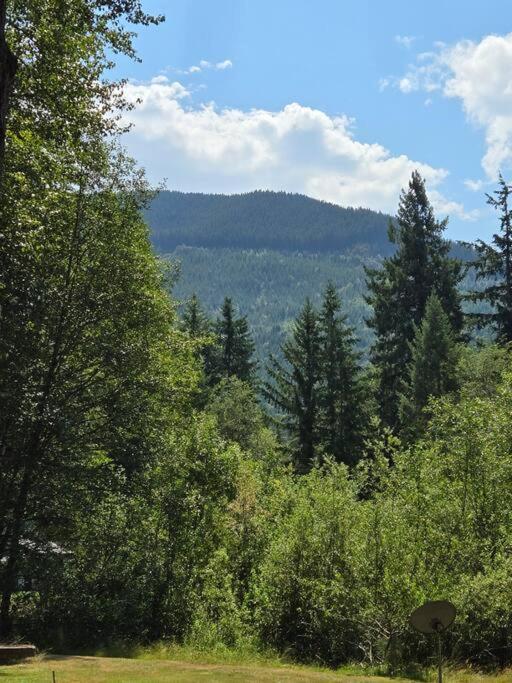 Dovetail Den - Tranquil with Hot Tub and Air Conditioning view 2