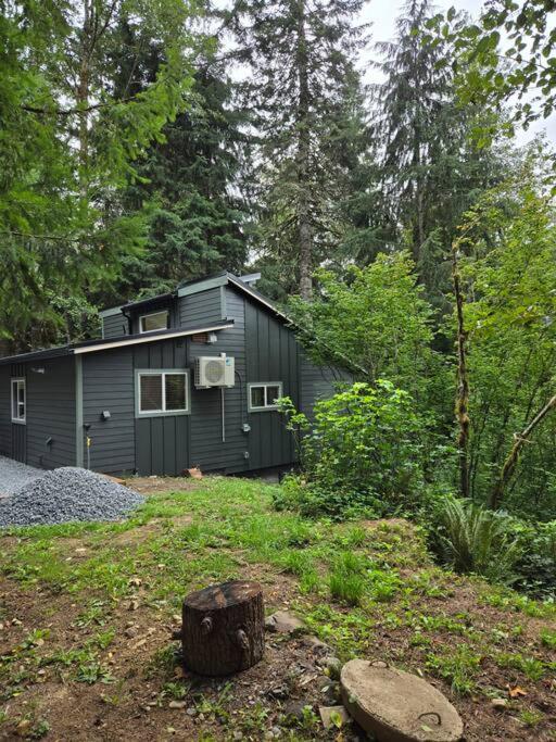 Dovetail Den - Tranquil with Hot Tub and Air Conditioning view 4