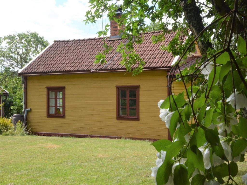 Photo 6