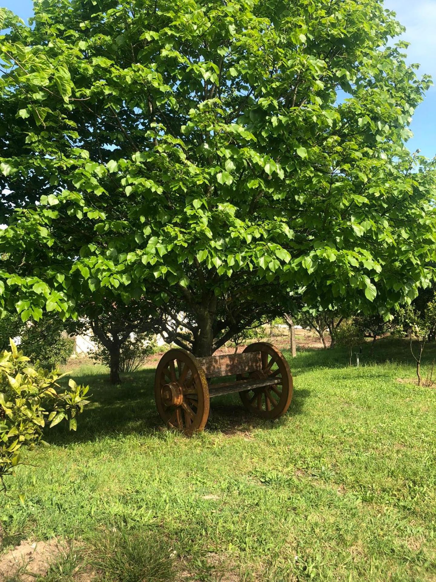 Retiro dos Cedros - Quarto Adega view 3