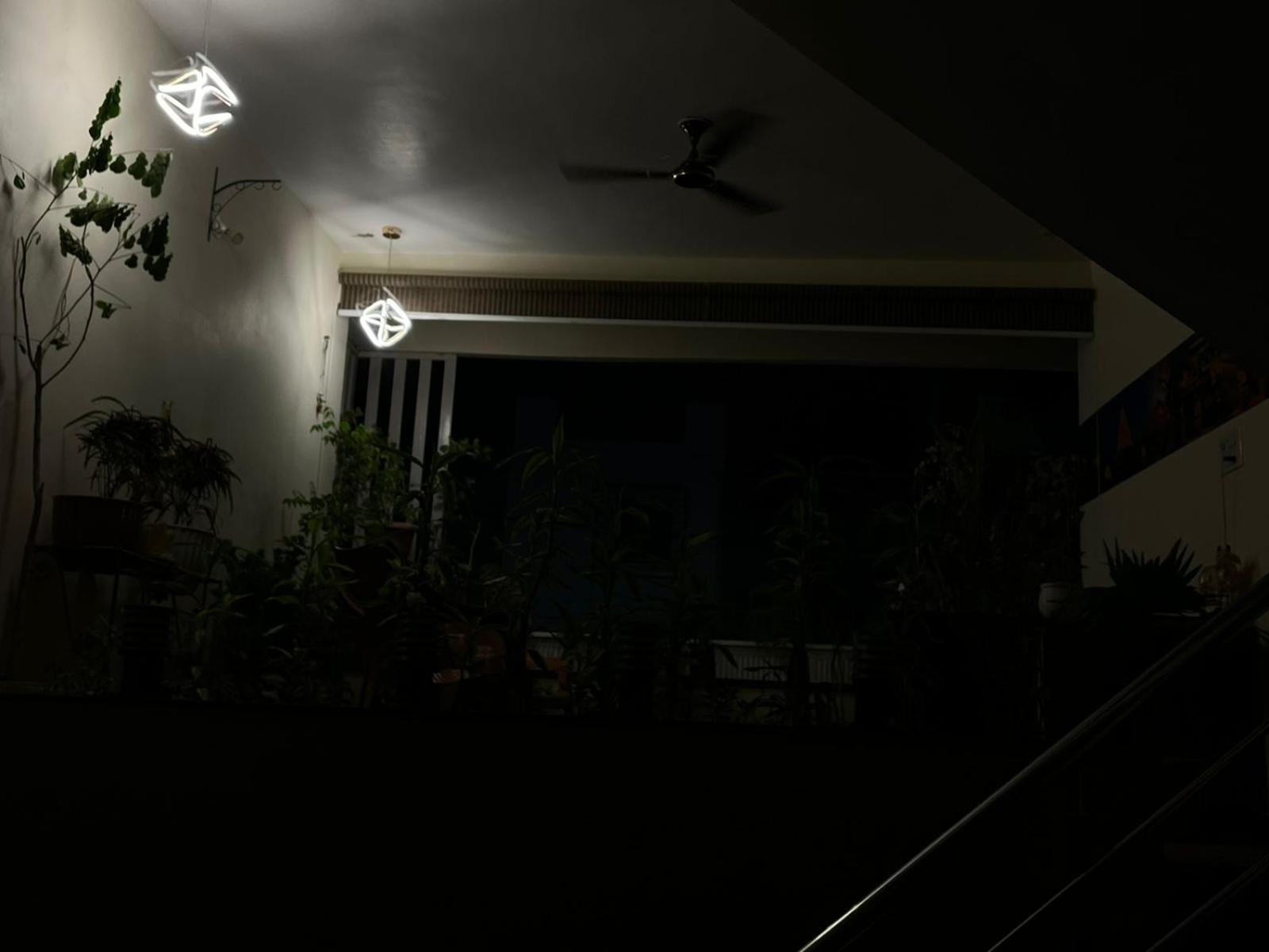 Photo 49