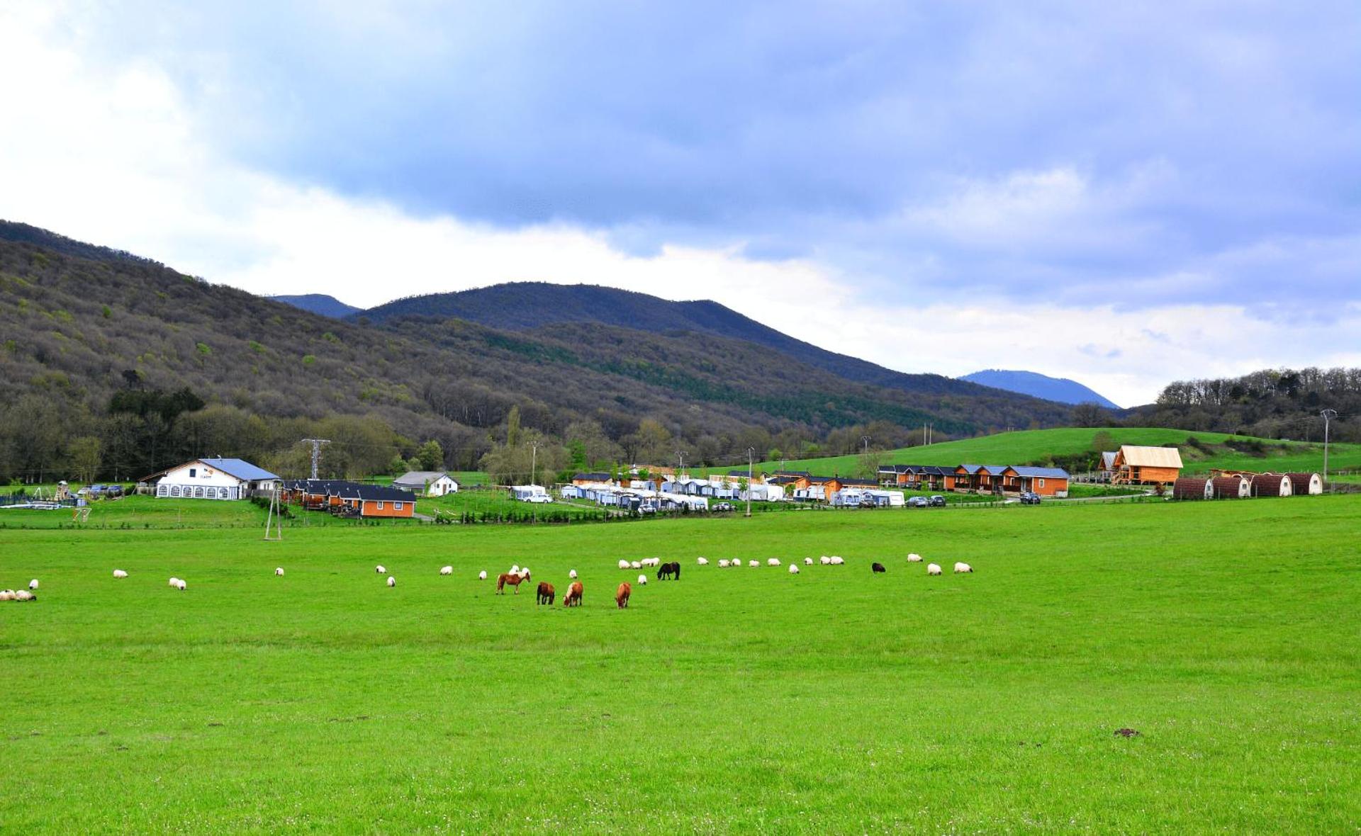 Camping IZARPE