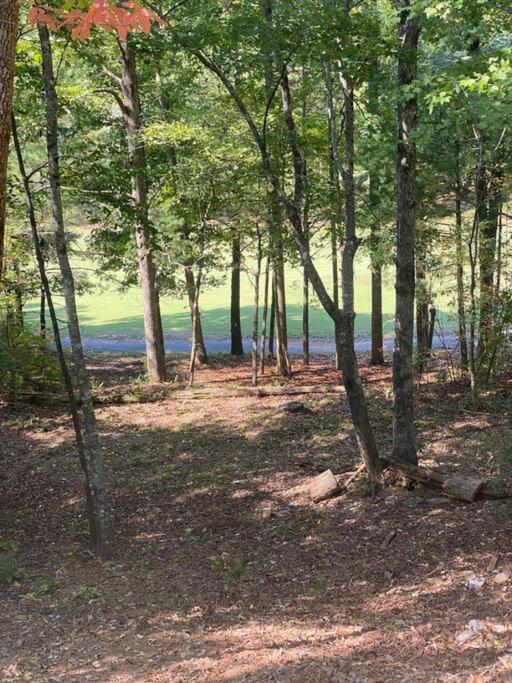 Helen, GA Bear Paw Haus 4 bdrm, sleeps 10, fire pit, pool table, on Golf course view 5