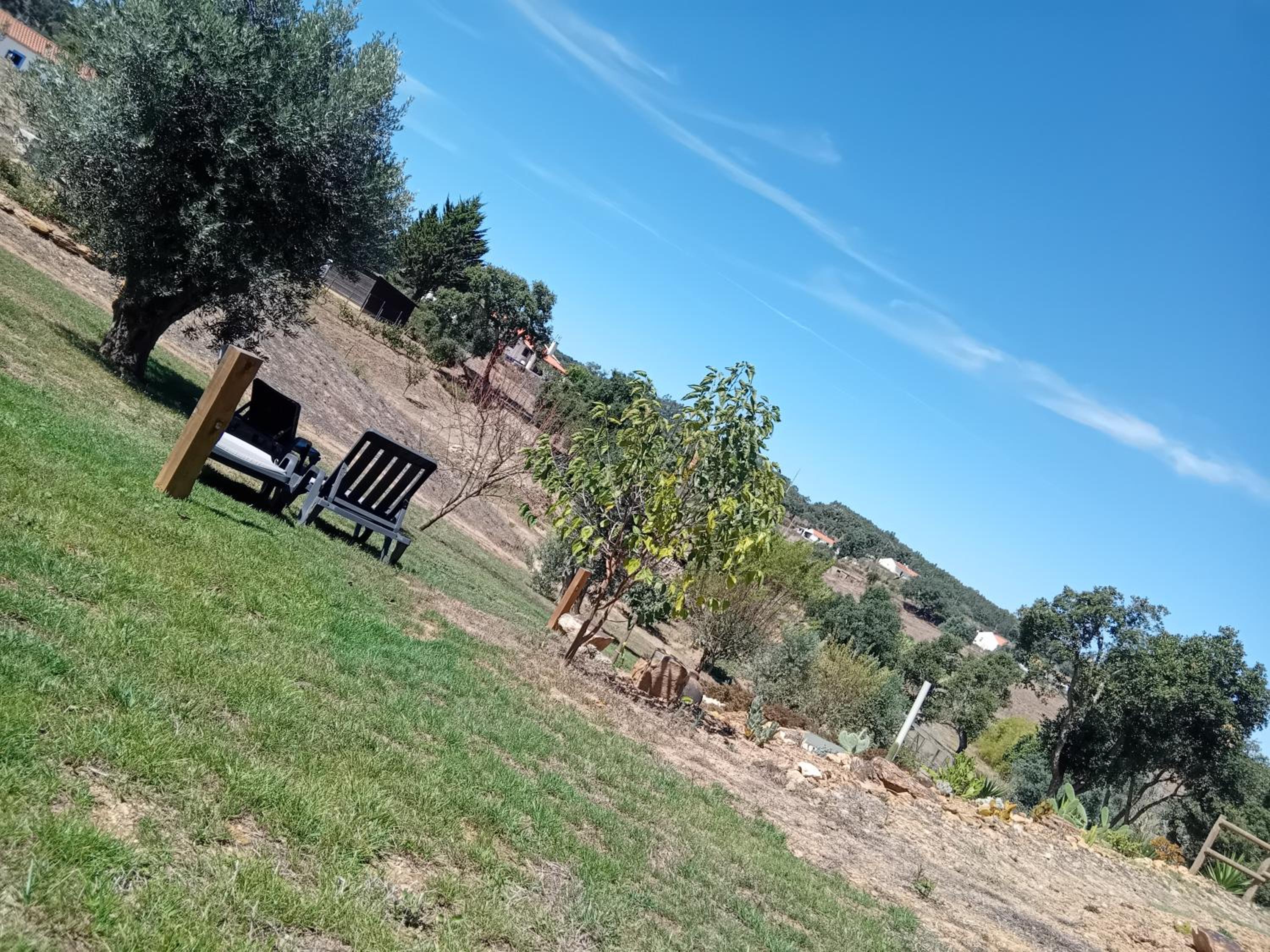 Photo 38