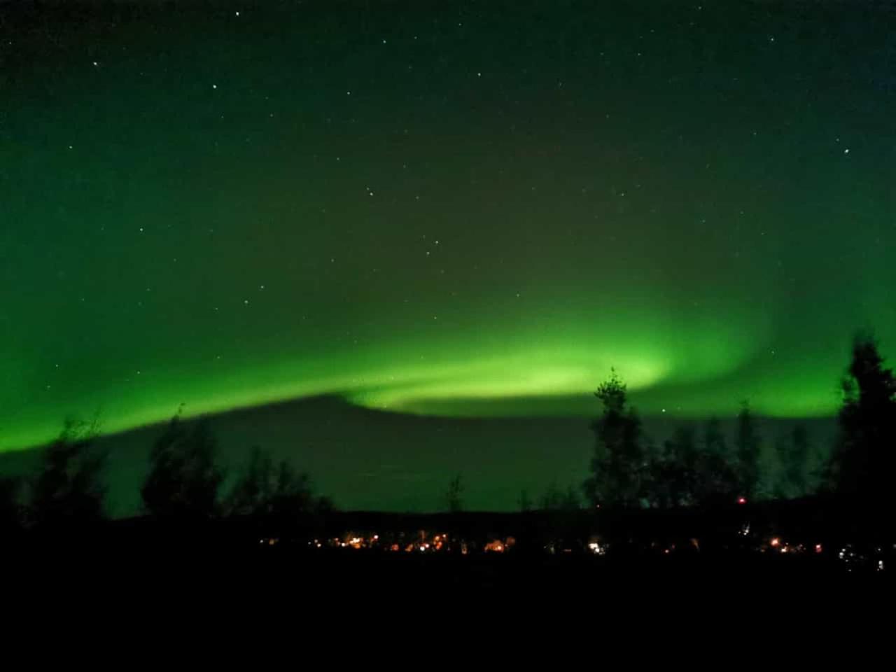 Kriberg Wild Lappland