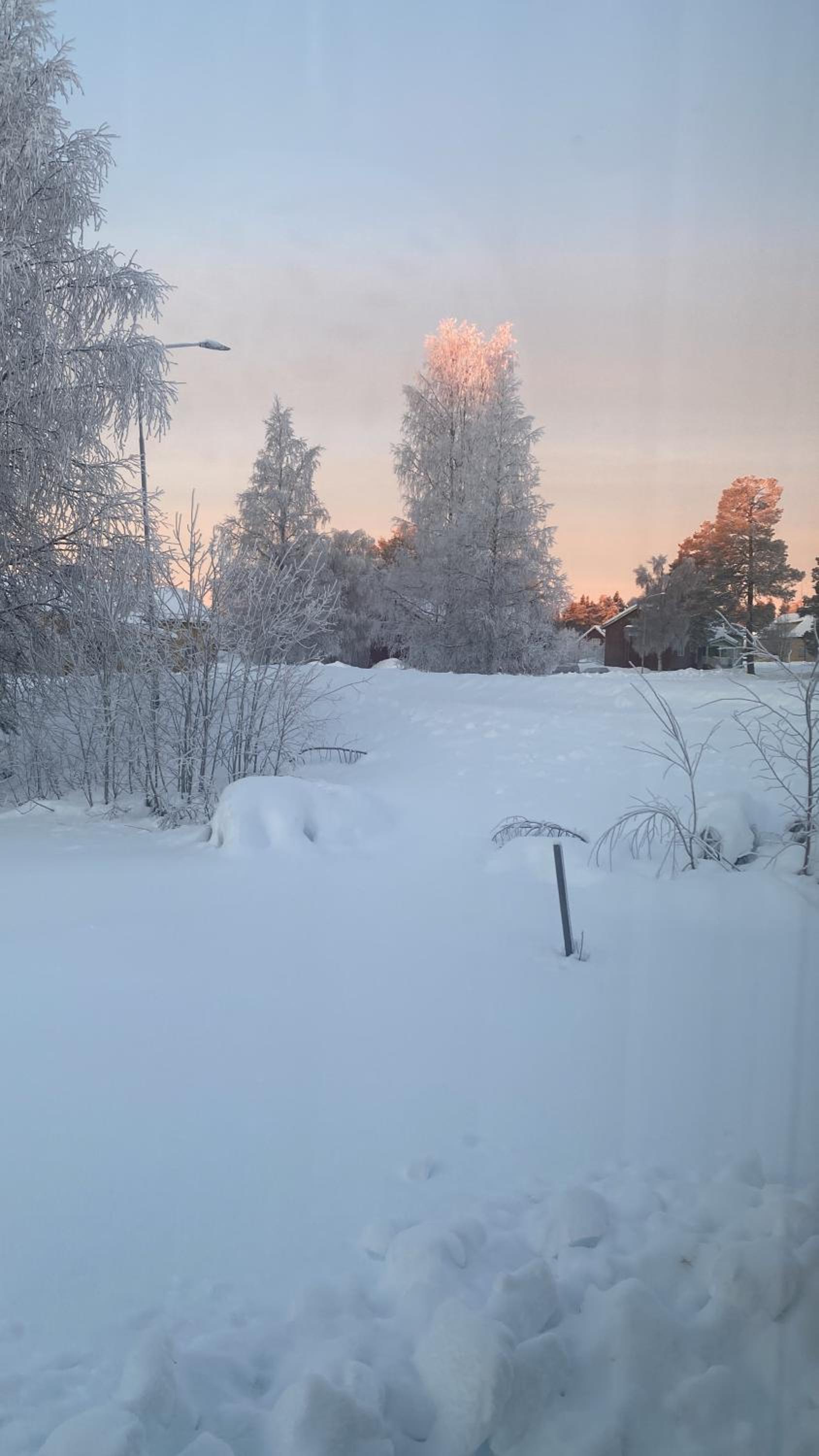 Kriberg Wild Lappland