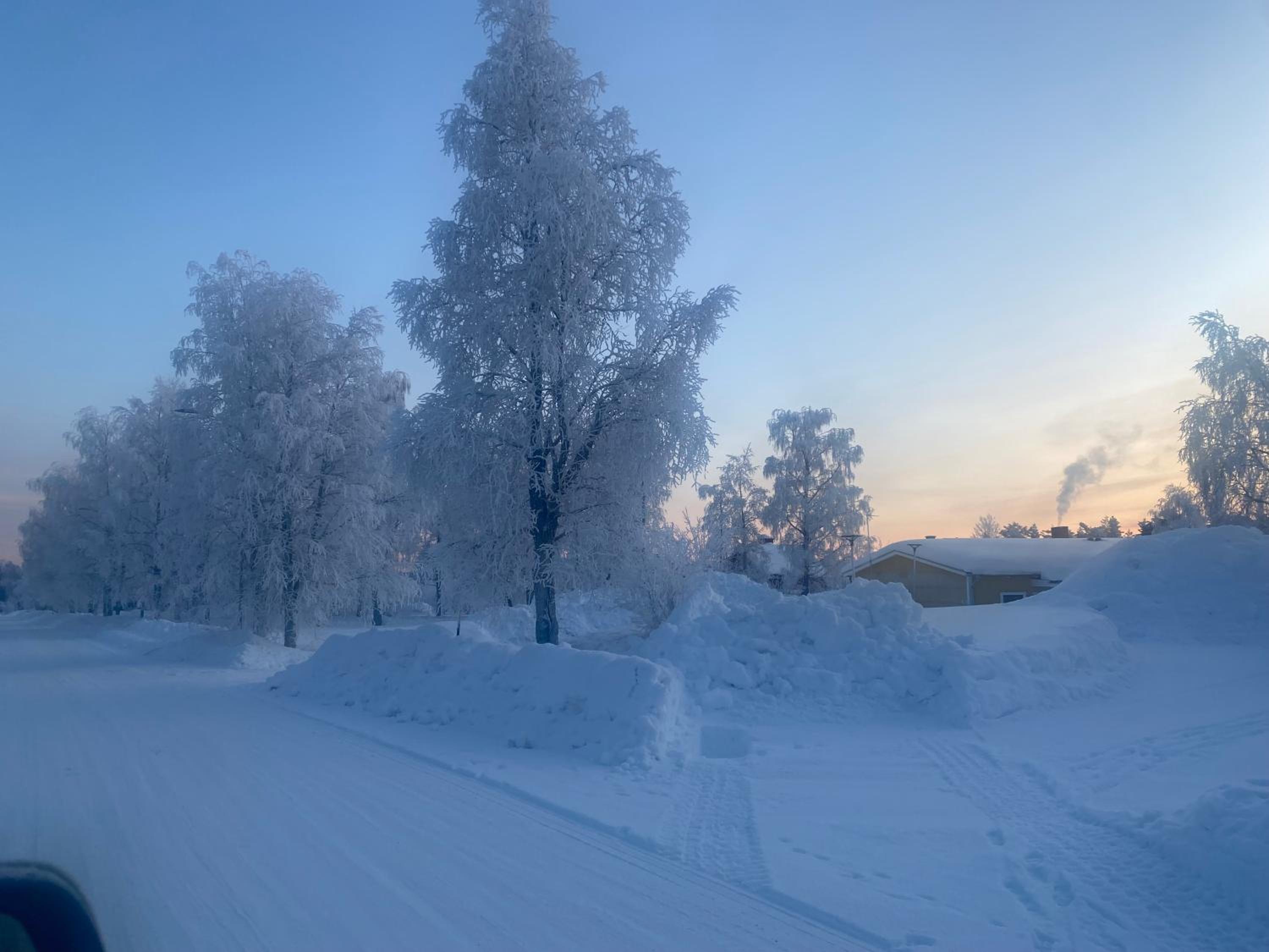 Kriberg Wild Lappland