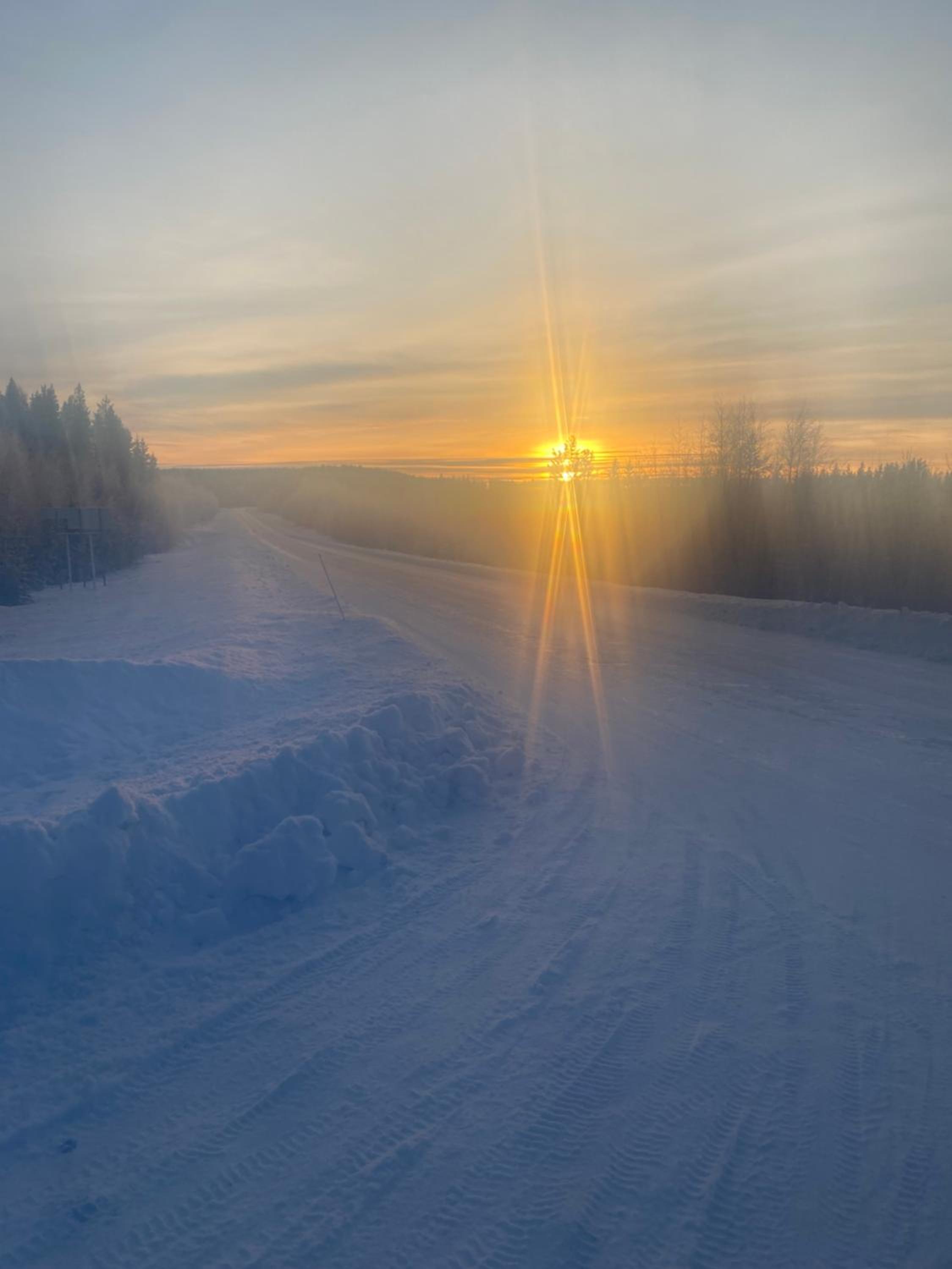Kriberg Wild Lappland