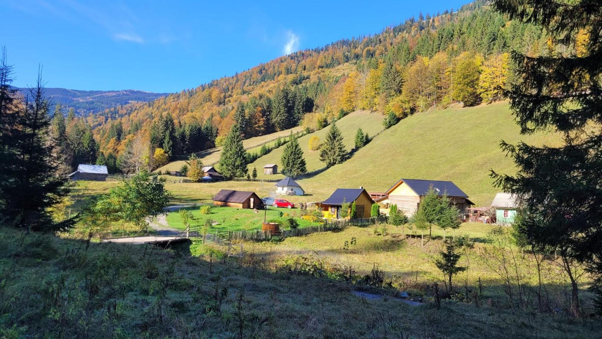 Căsuța Dor de Munte view 2