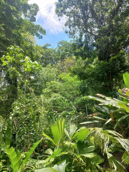 Toucan Roost