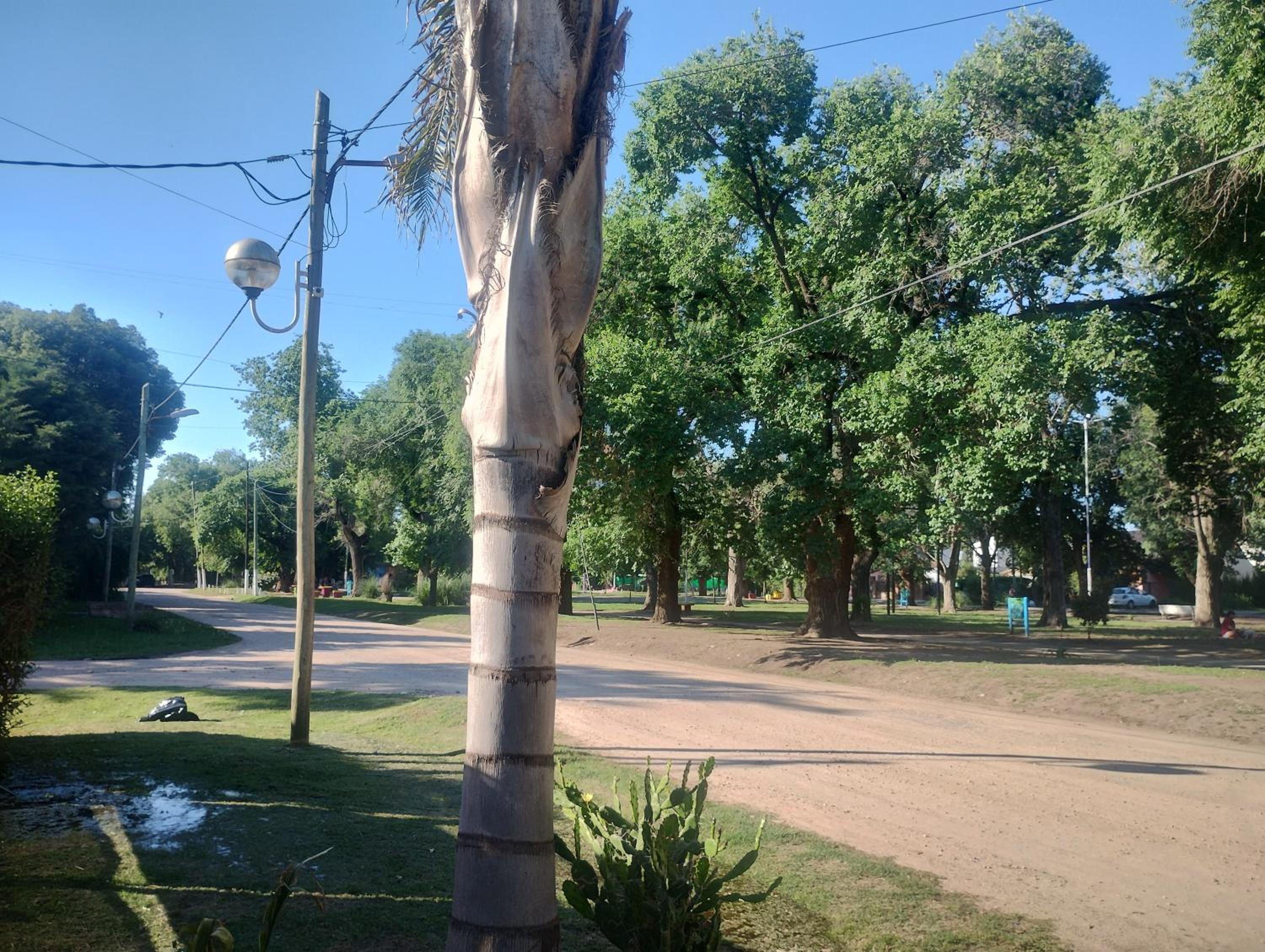 Chalet los alamos