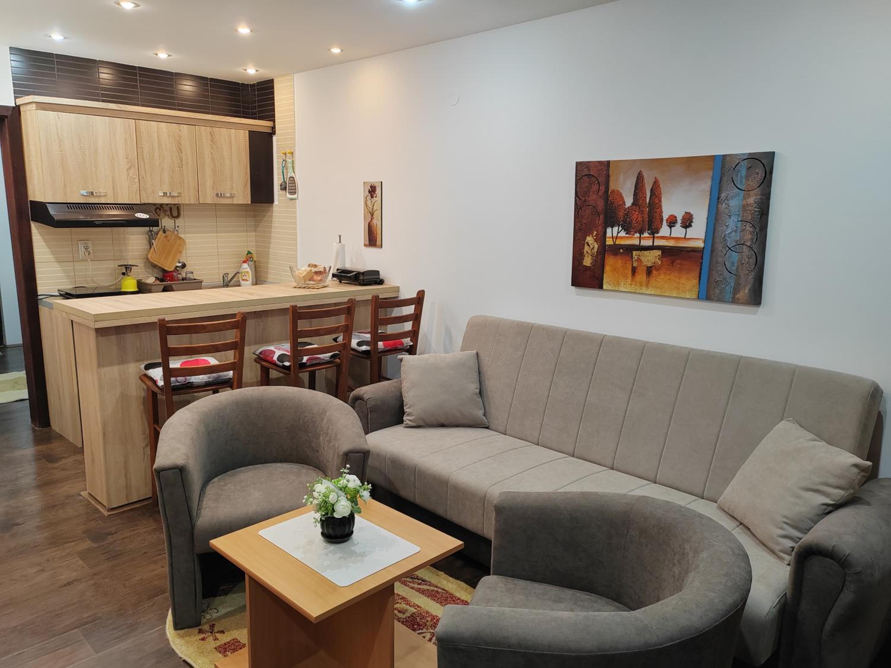 Apartman Popadić-Goč view 4