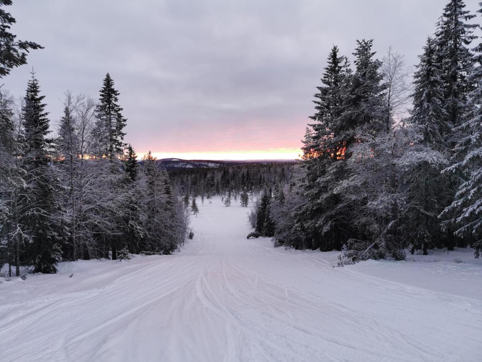 Kriberg Wild Lappland