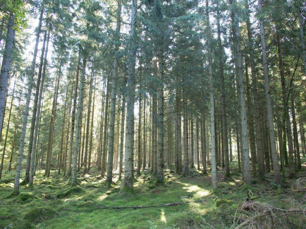 Photo 47