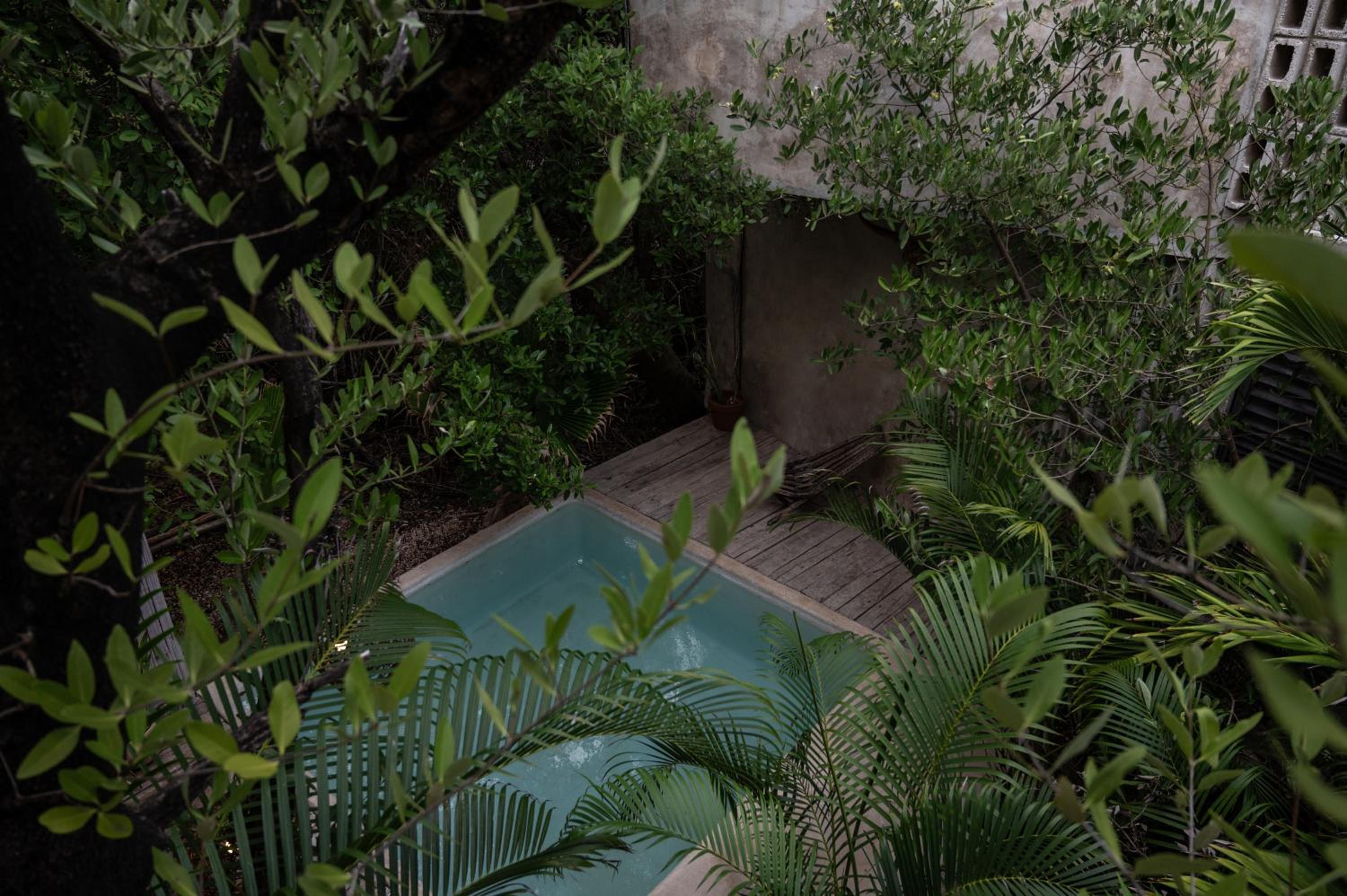 Casa Coyote Tulum - Property Image 47