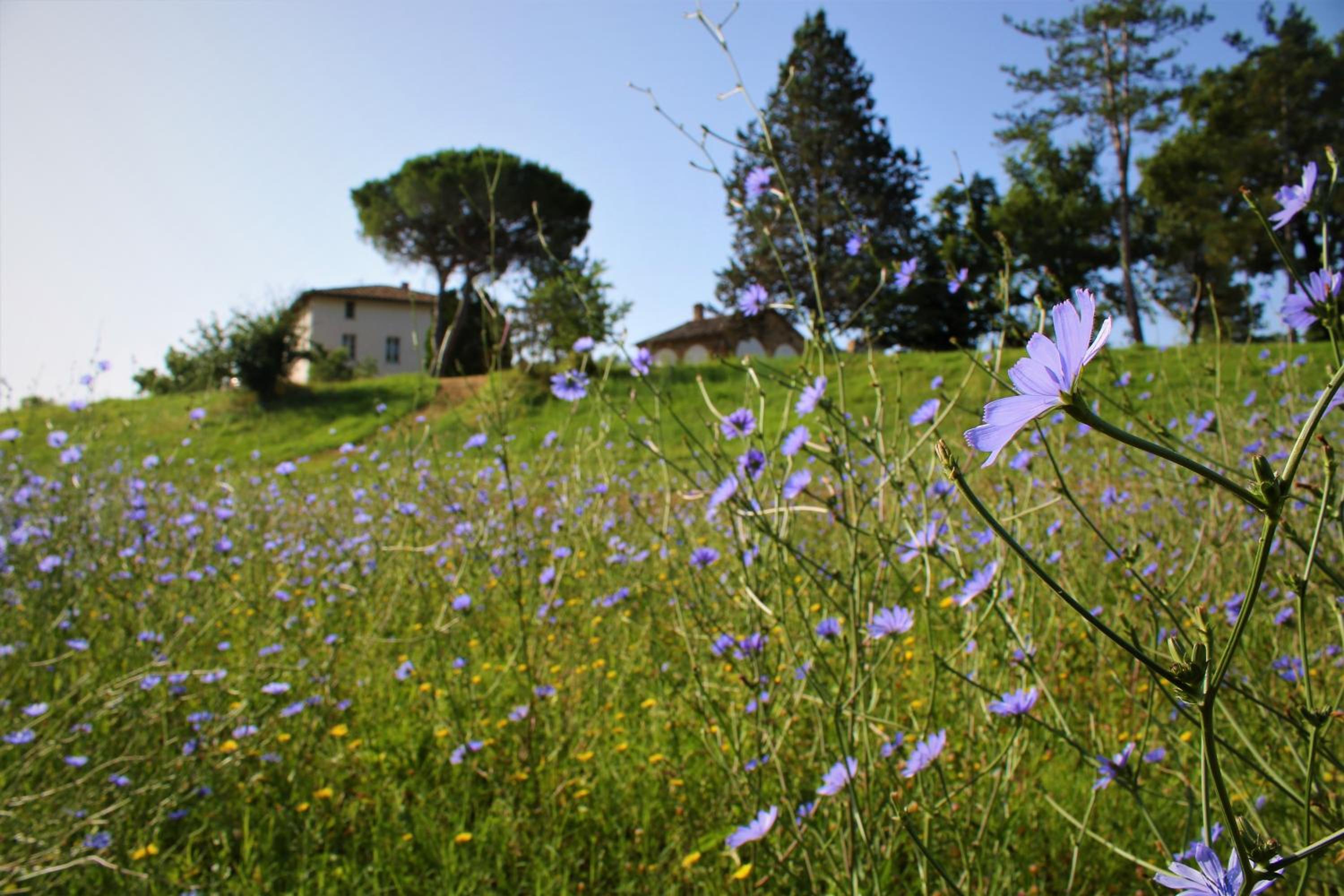 Opera d'Oro view 2