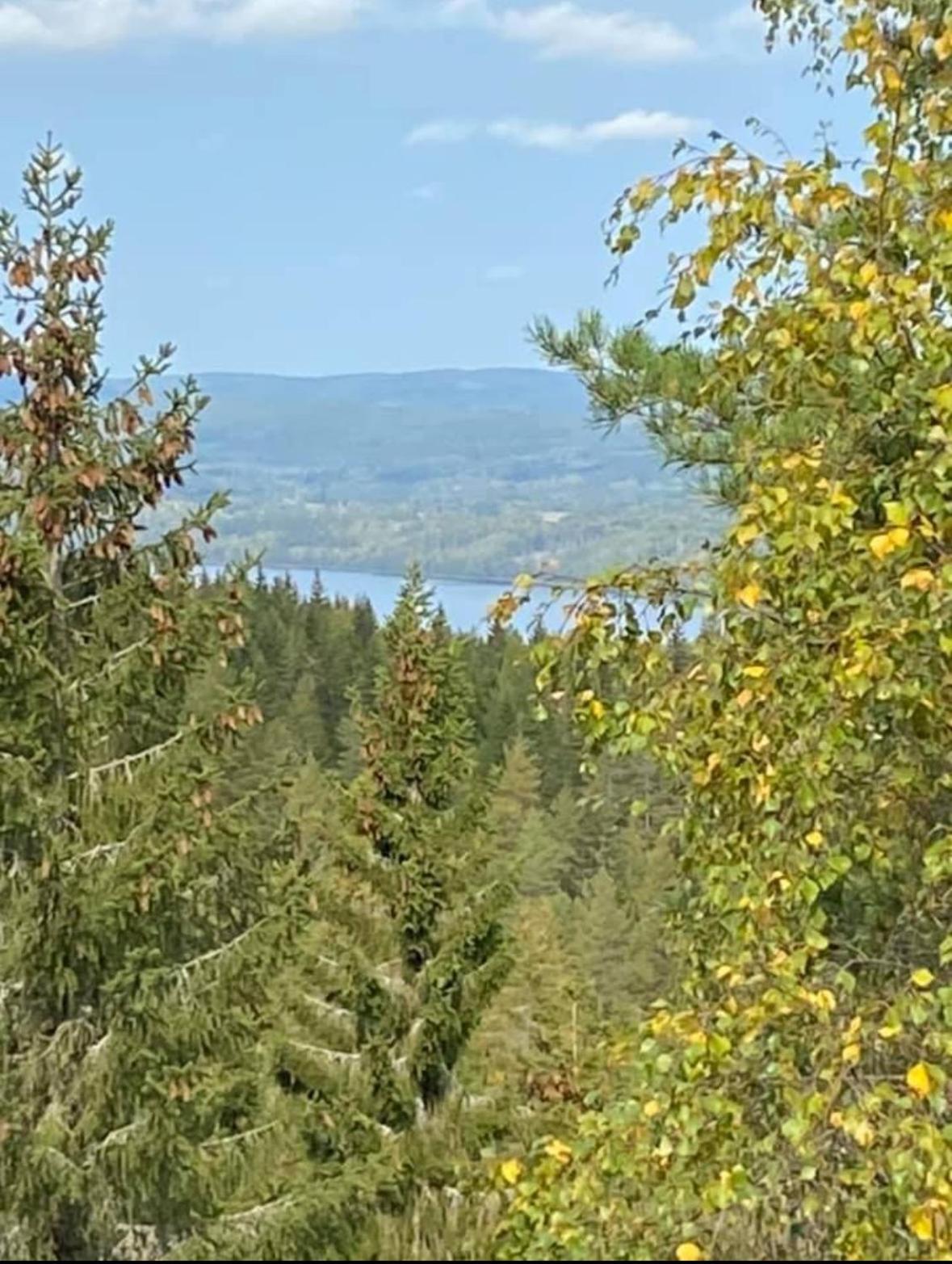 Skinnerud Där Öpp