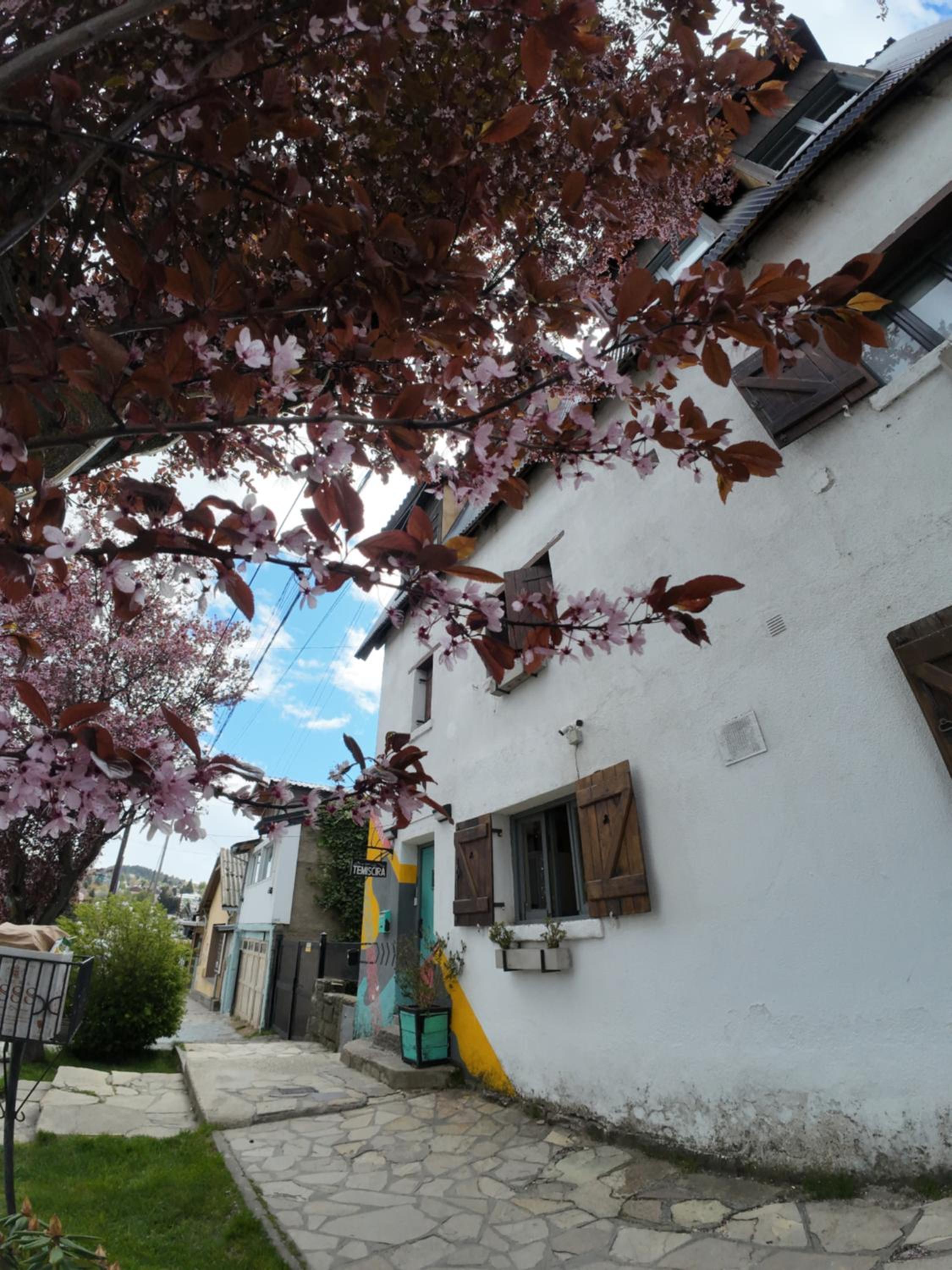 Temiscira Hostel