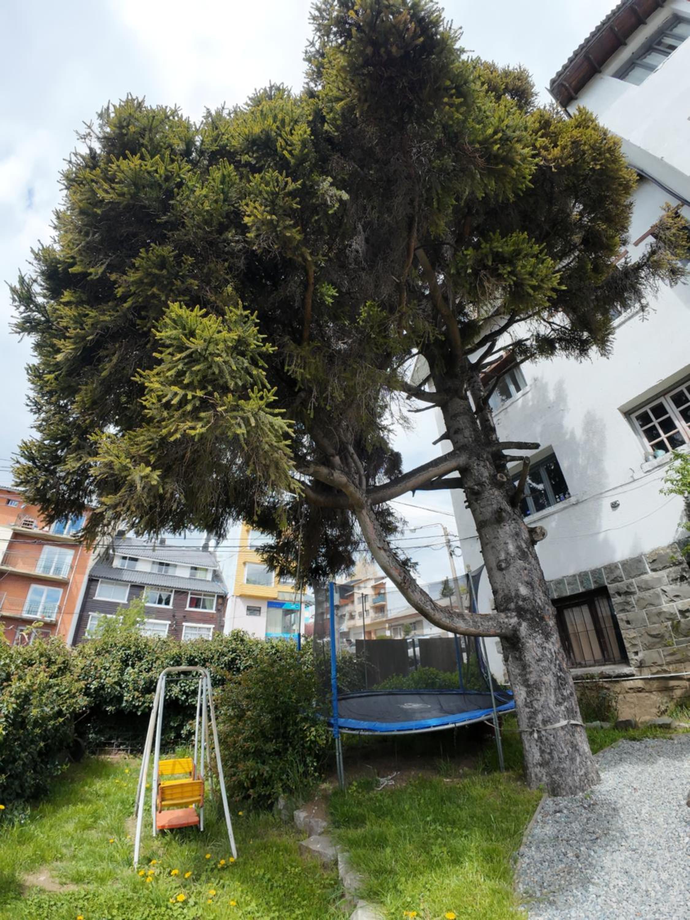 Temiscira Hostel
