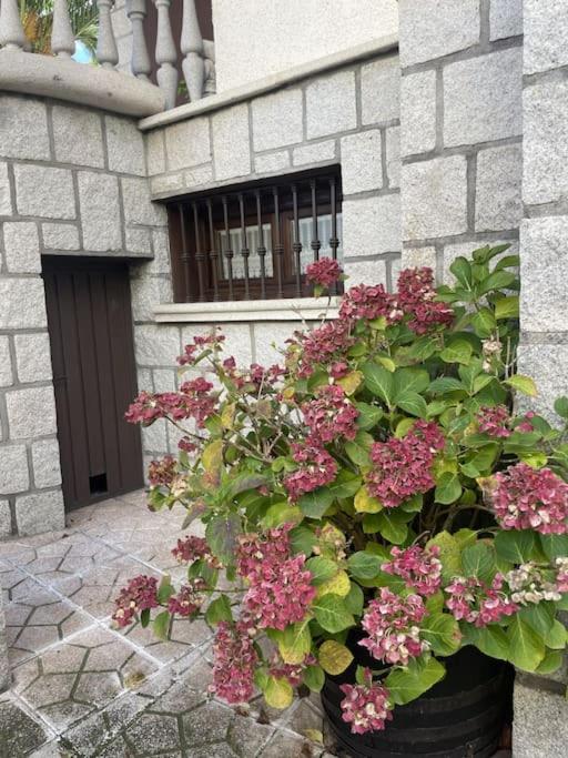 vivienda de uso turístico Maestro