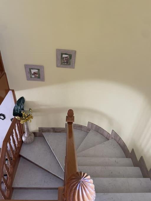 vivienda de uso turístico Maestro