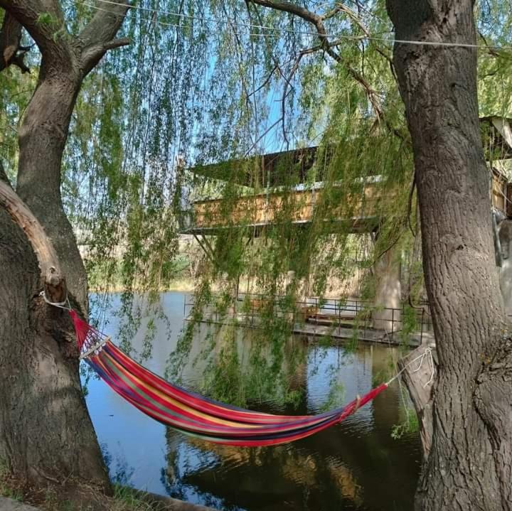 Qotej