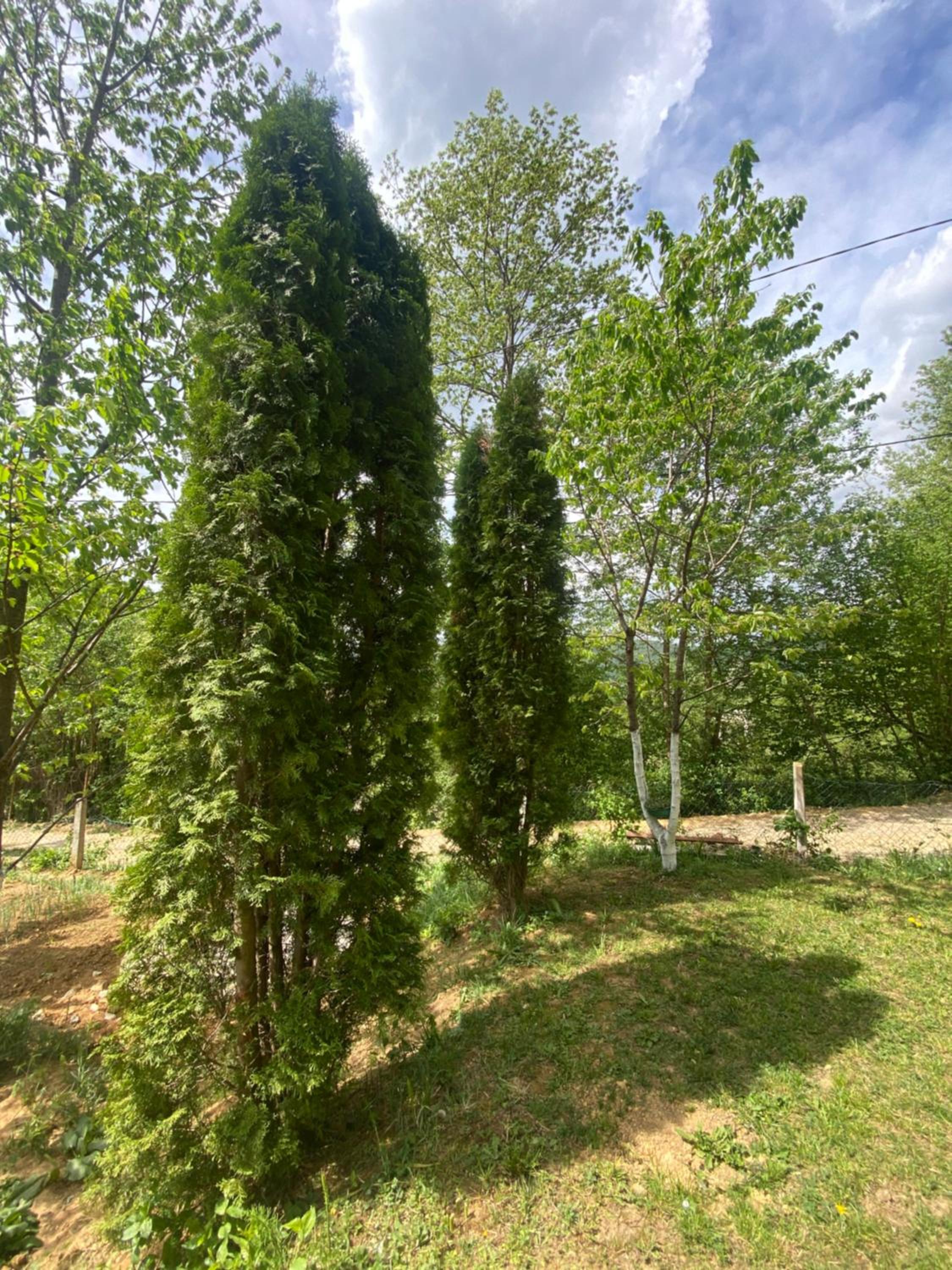 Studio apartman Farah