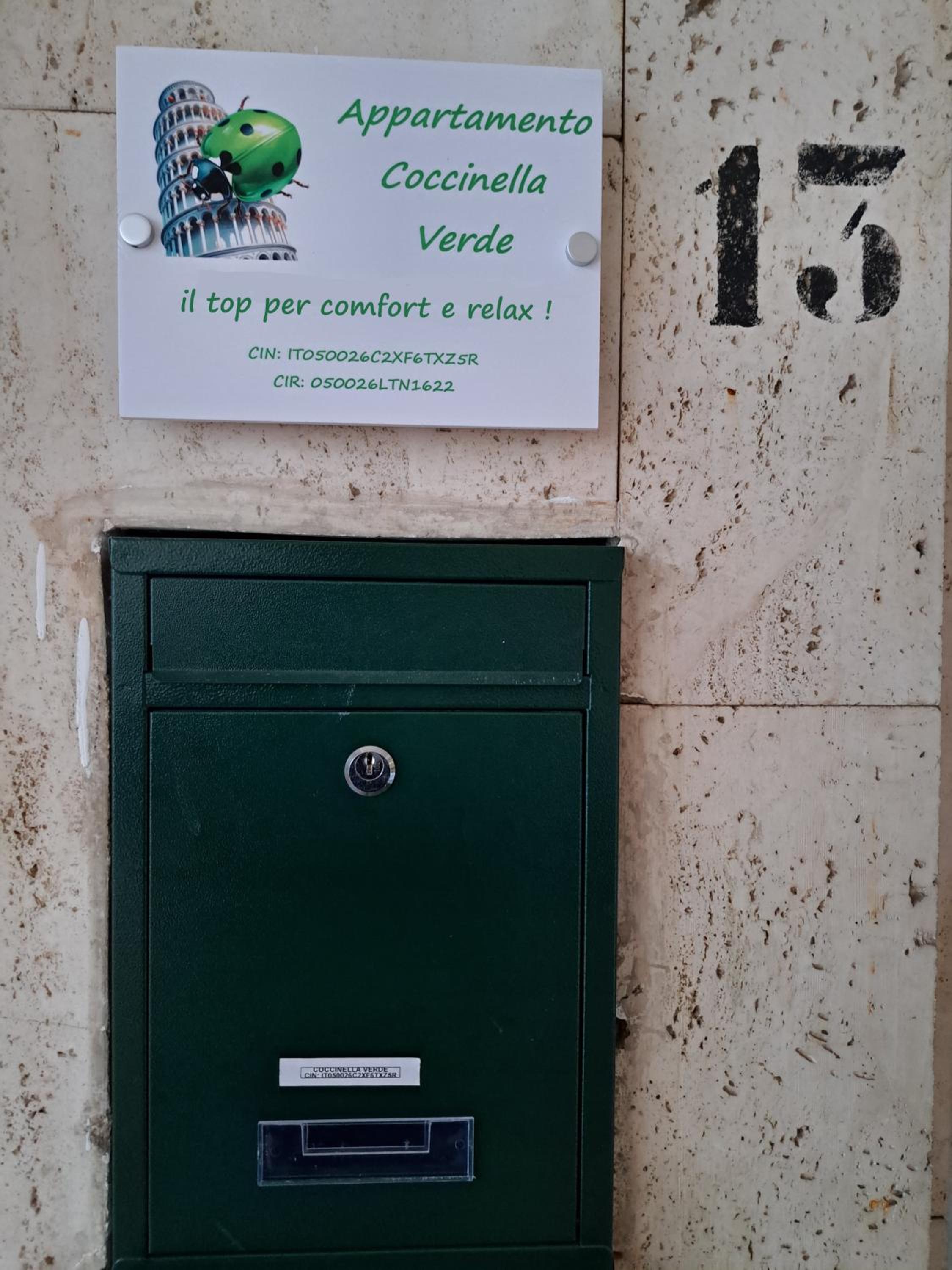 Coccinella Verde photo 4