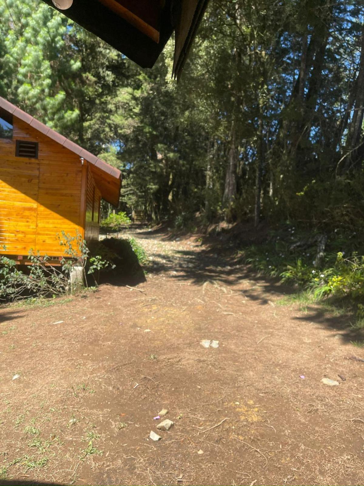 Cabaña de Bosque