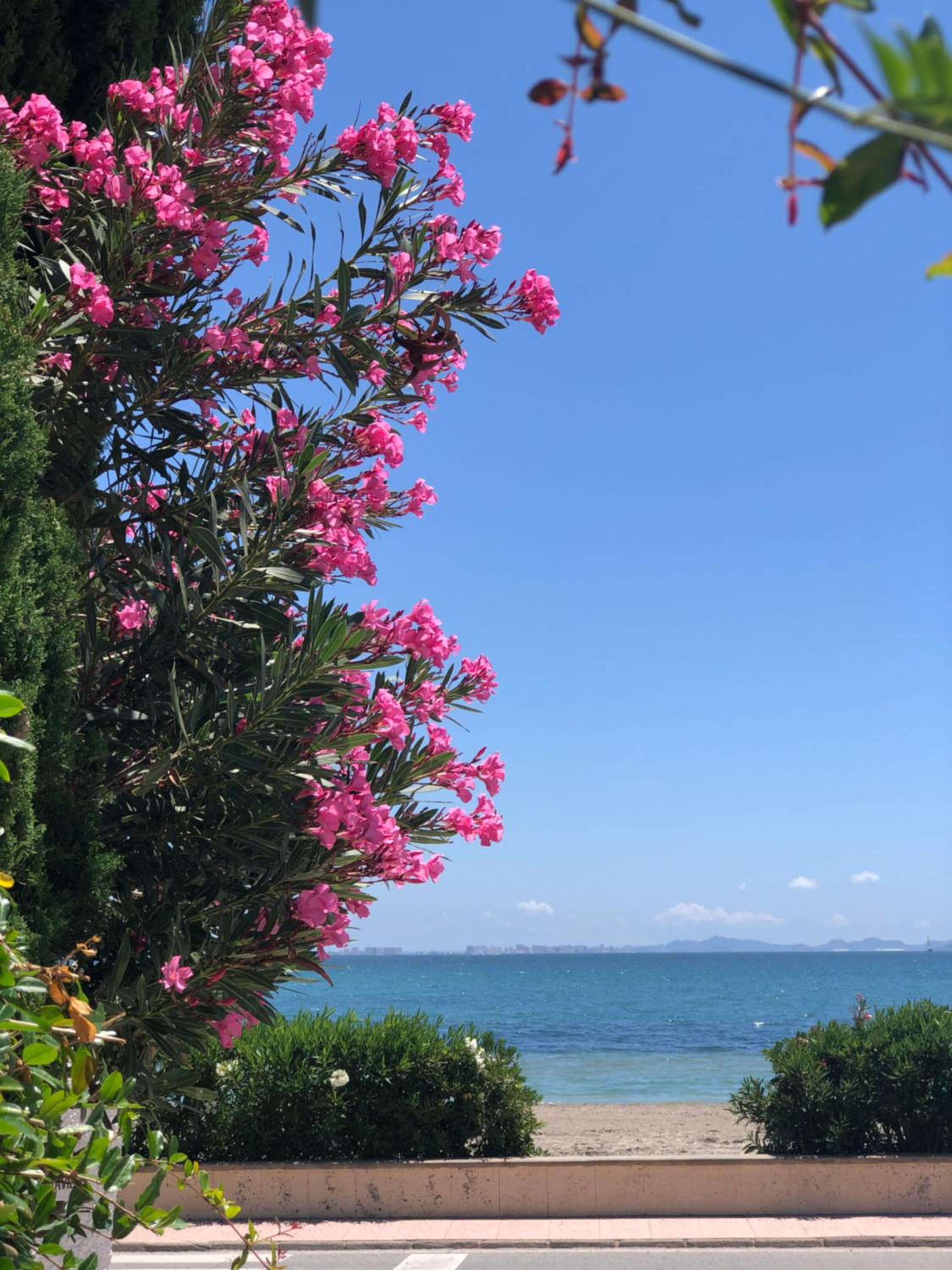 Gardenias Friends&Family Beach Appartment