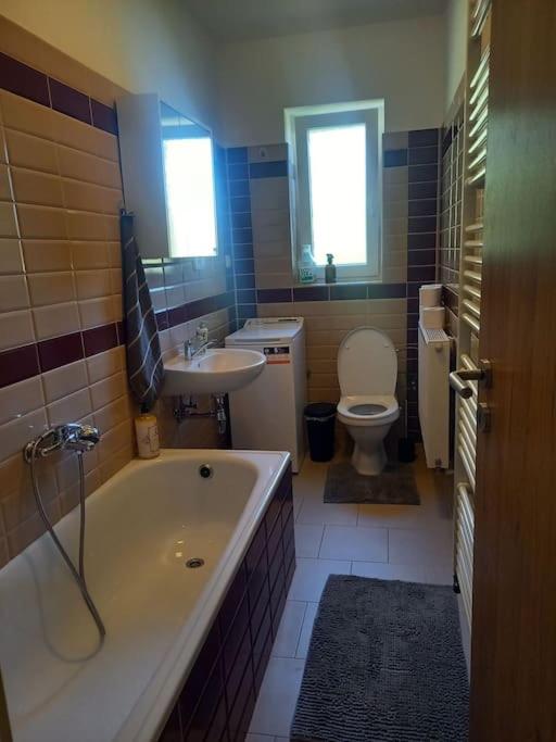 Zastávka v lázeňském trojúhelníku apartmán 4