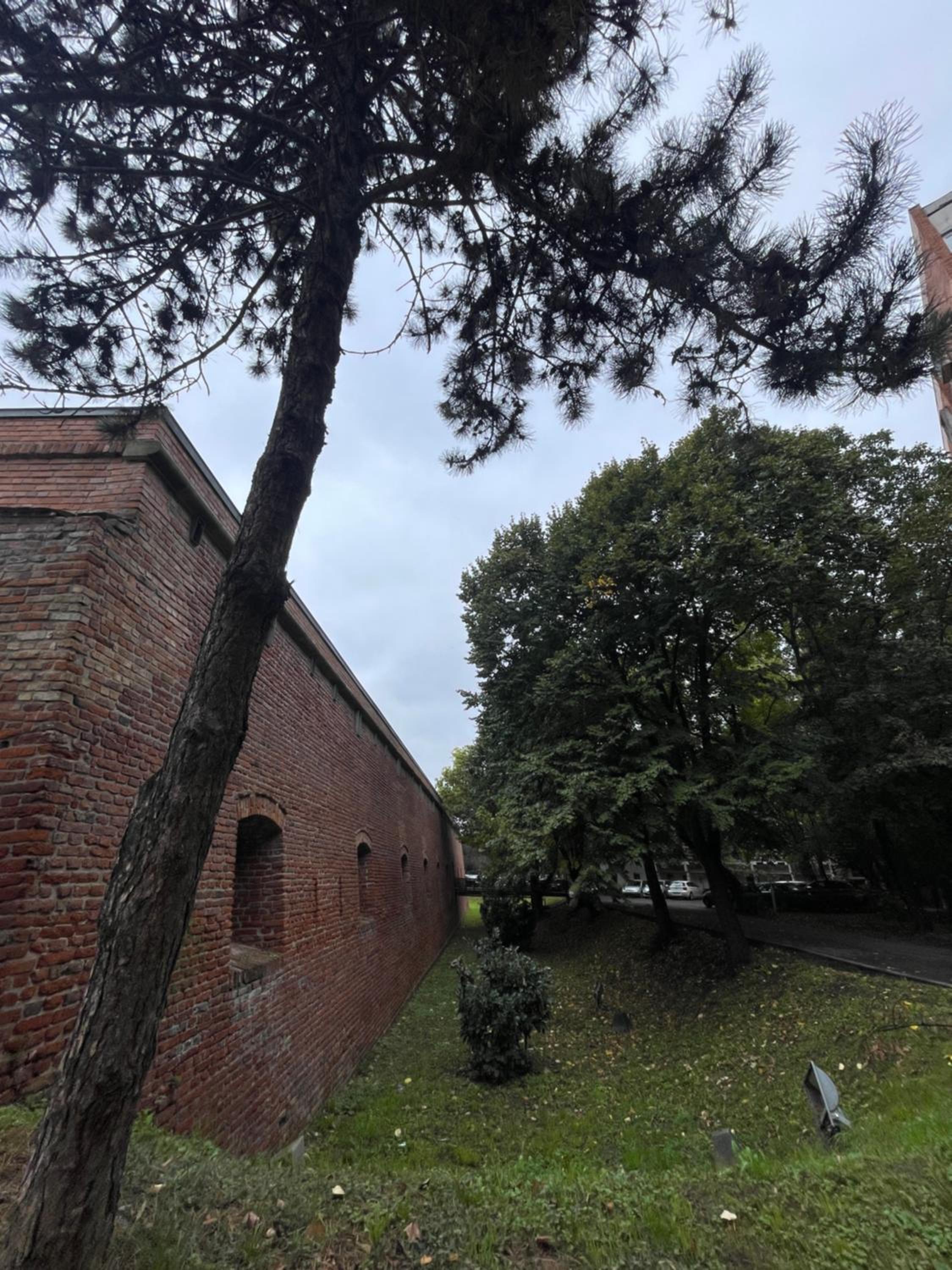 Photo 41