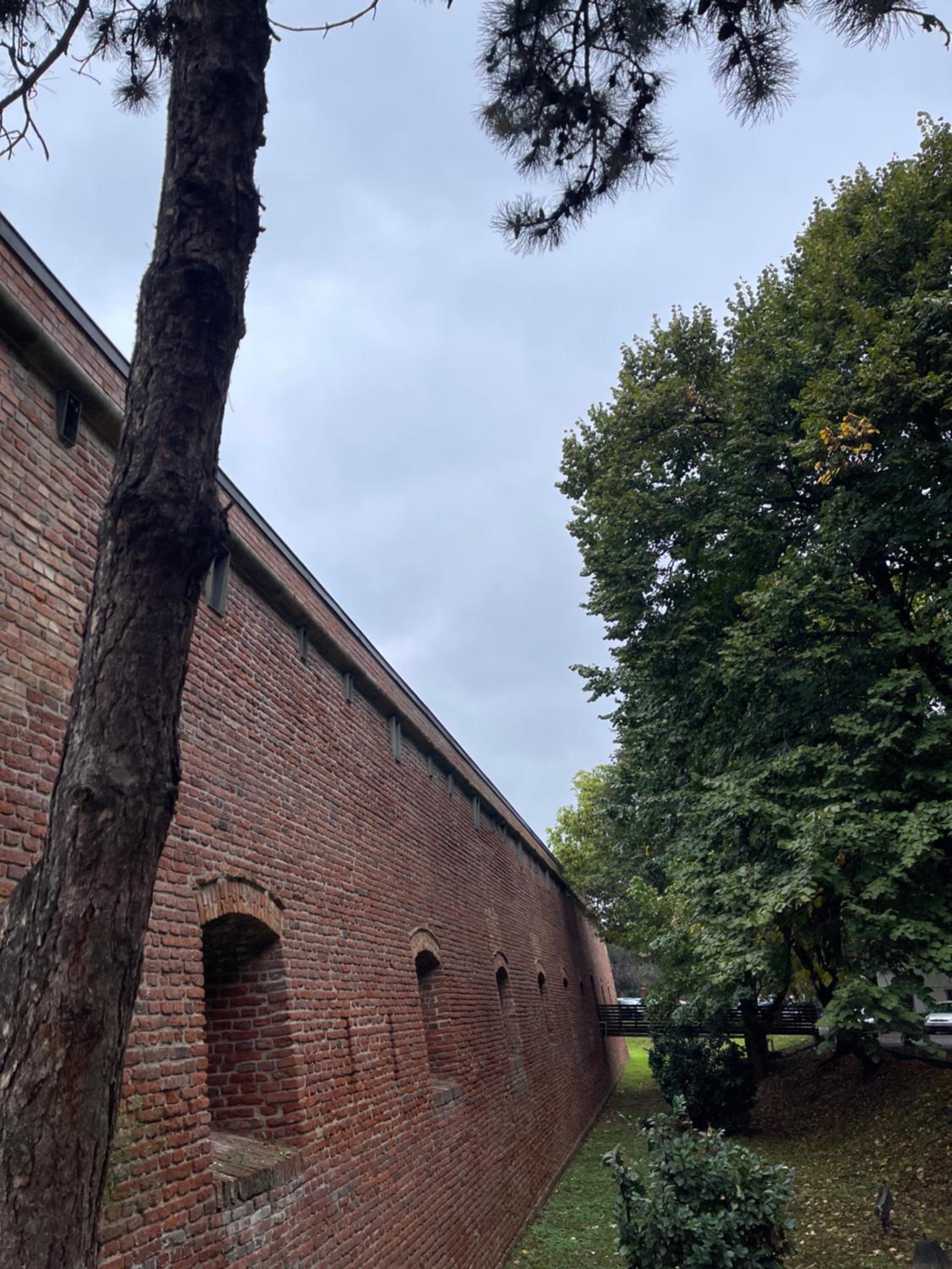 Photo 43