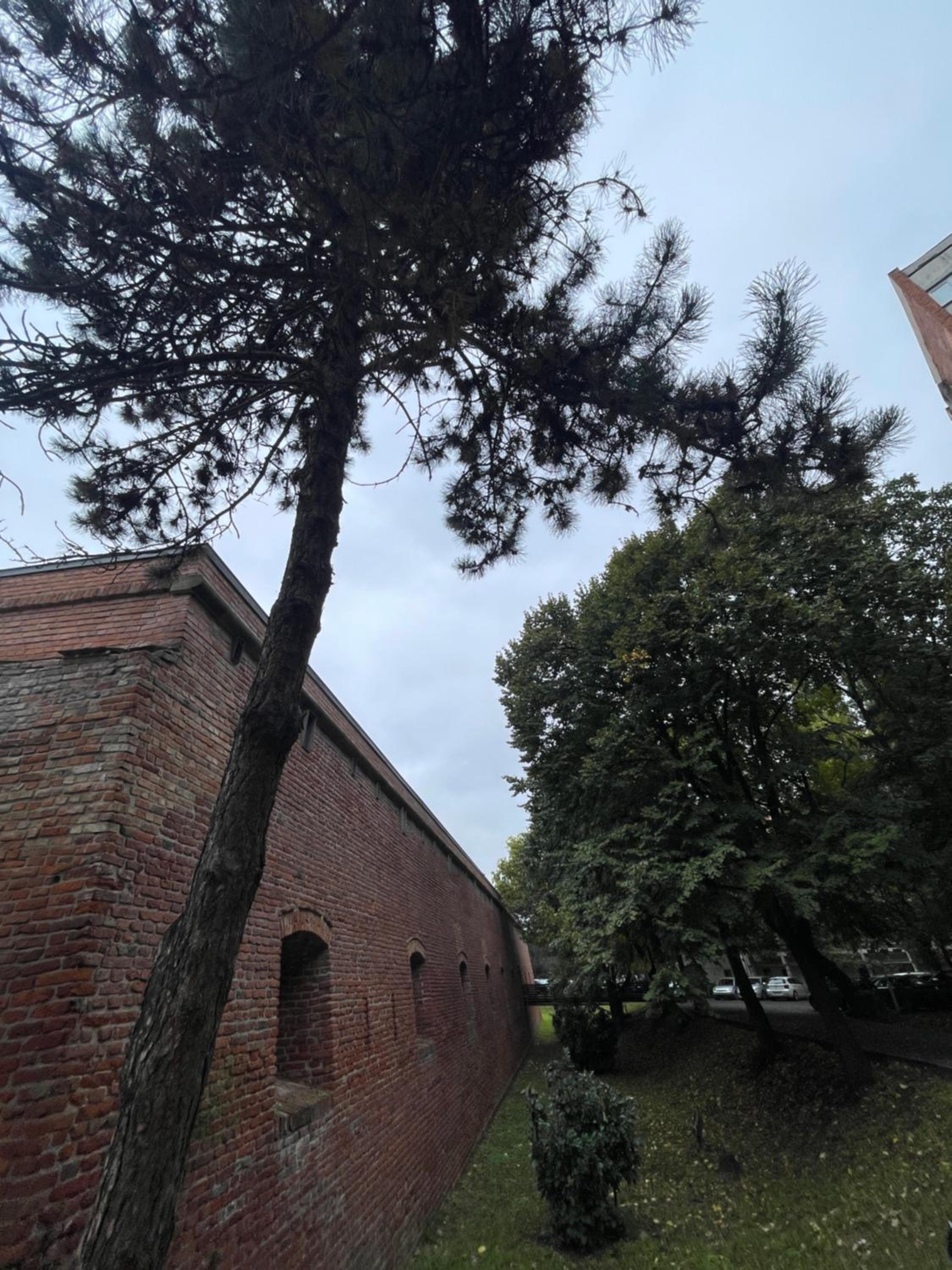 Photo 42
