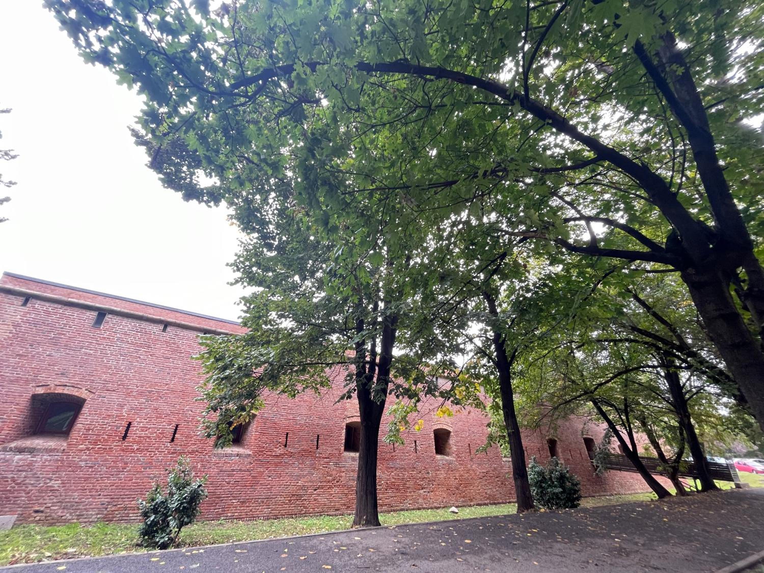 Photo 40