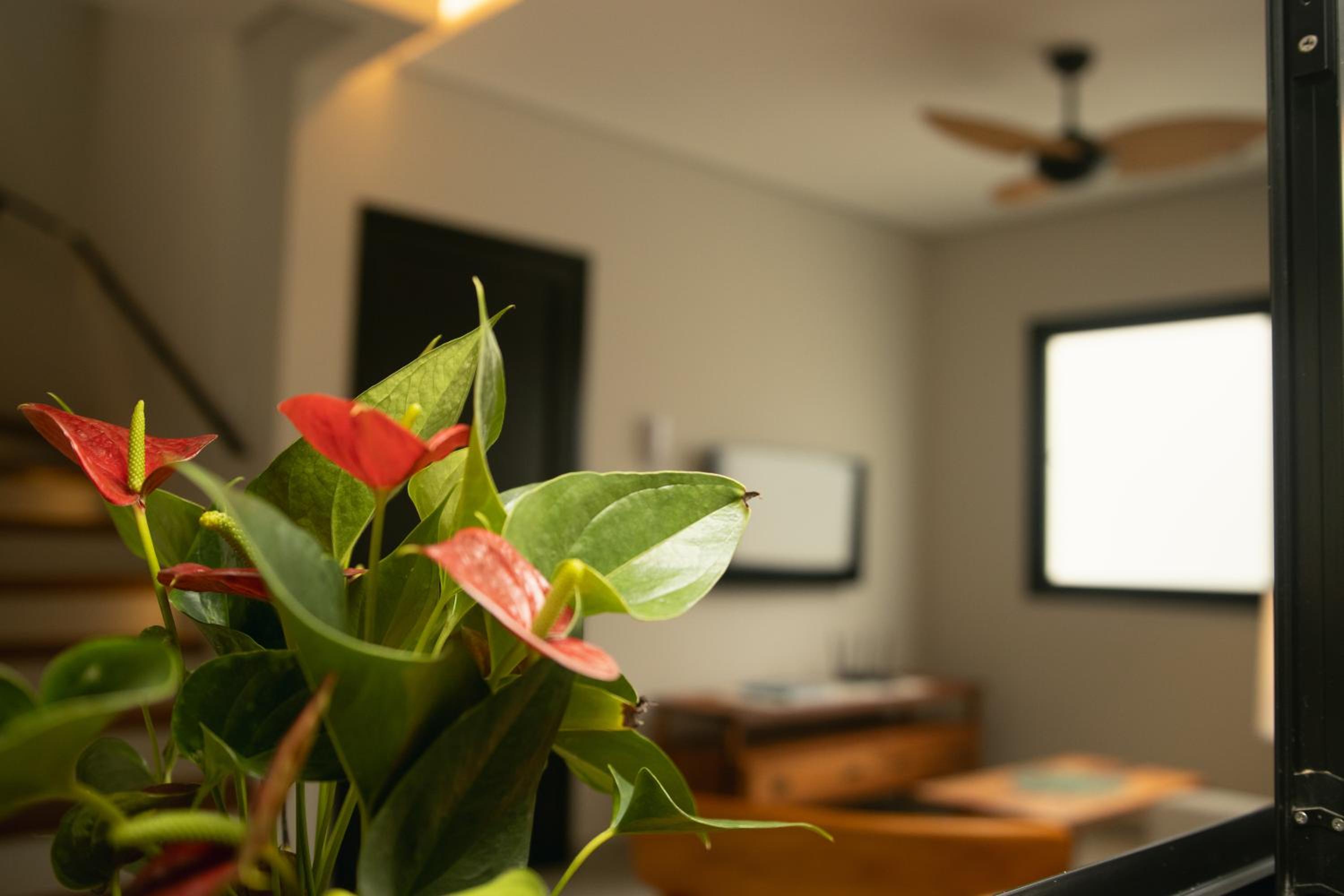 Casa Tarumã 1 | Relaxe com conforto em Paraty