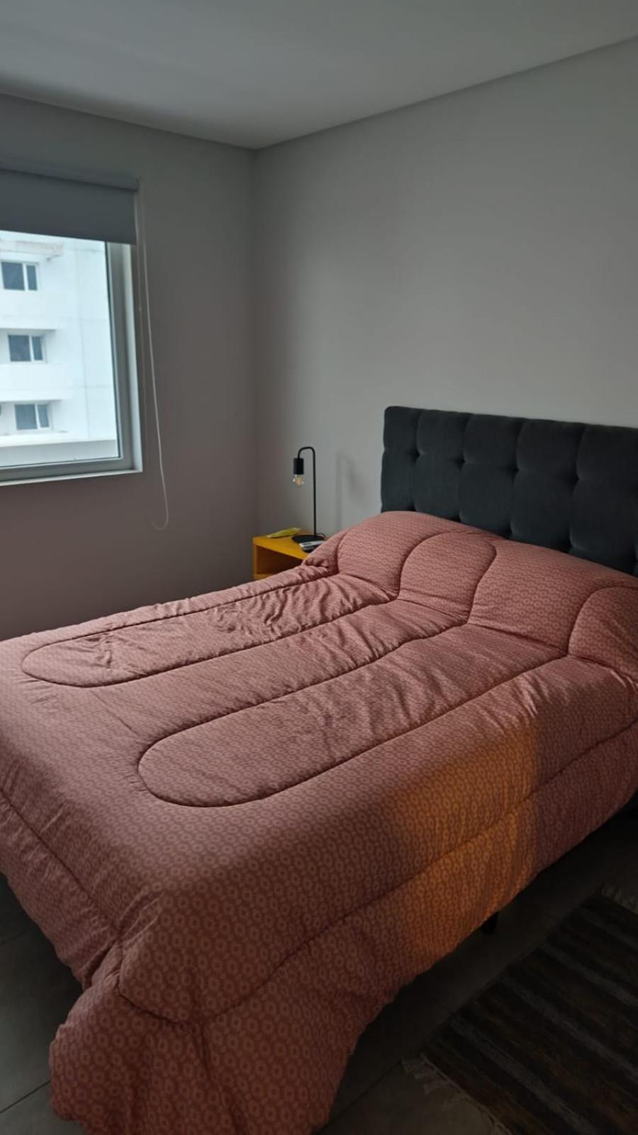 Departamento con seguridad 24hs, gym y pileta!