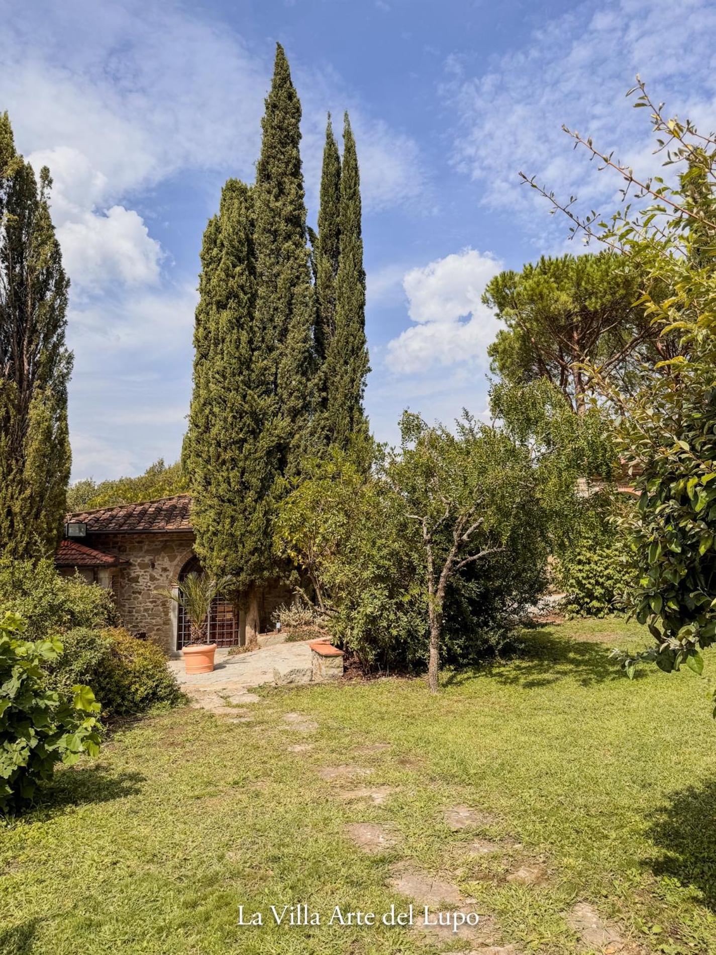 Two Birds-La Villa ARTE del Lupo view 5