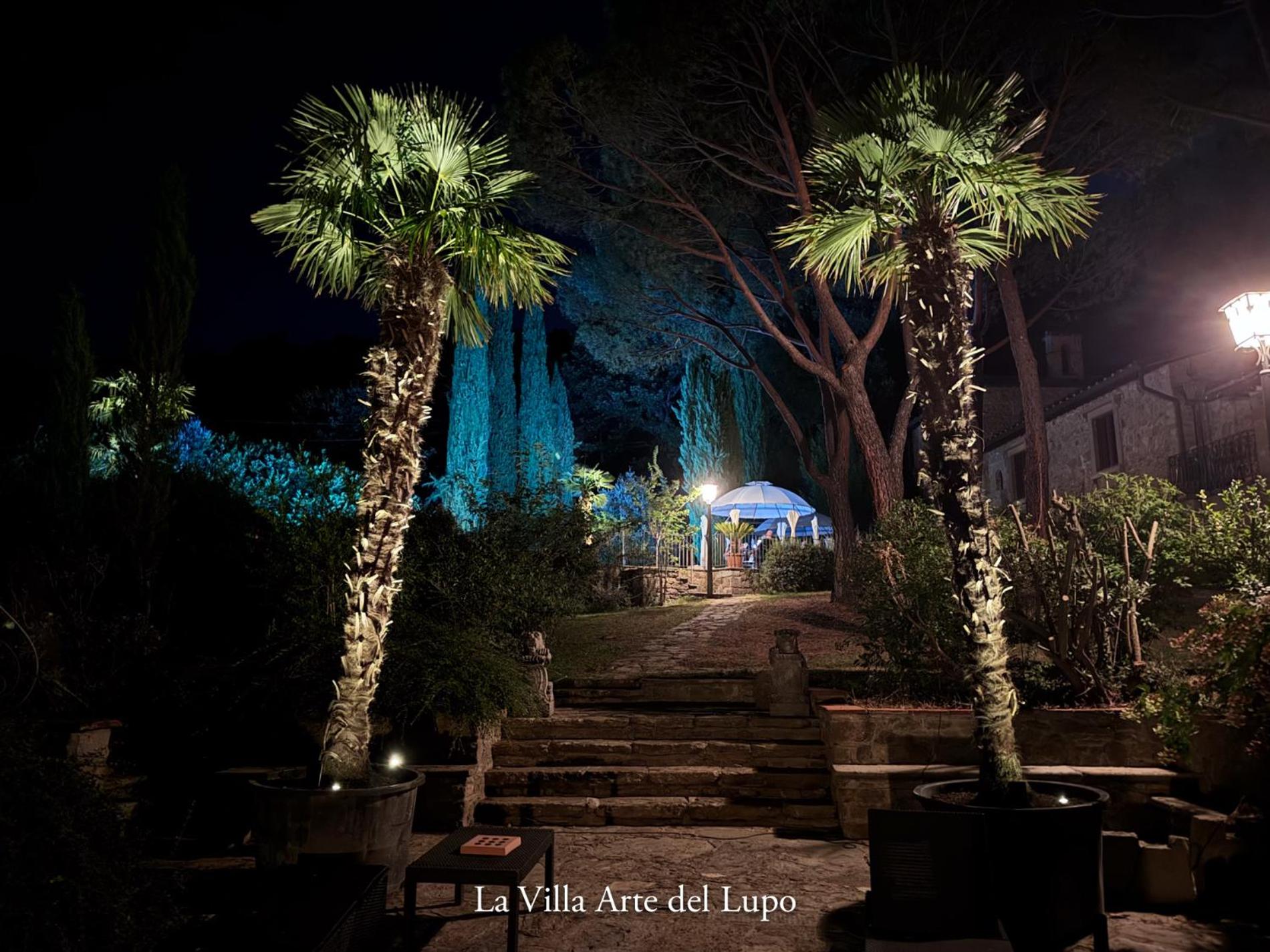 Two Birds-La Villa ARTE del Lupo view 4