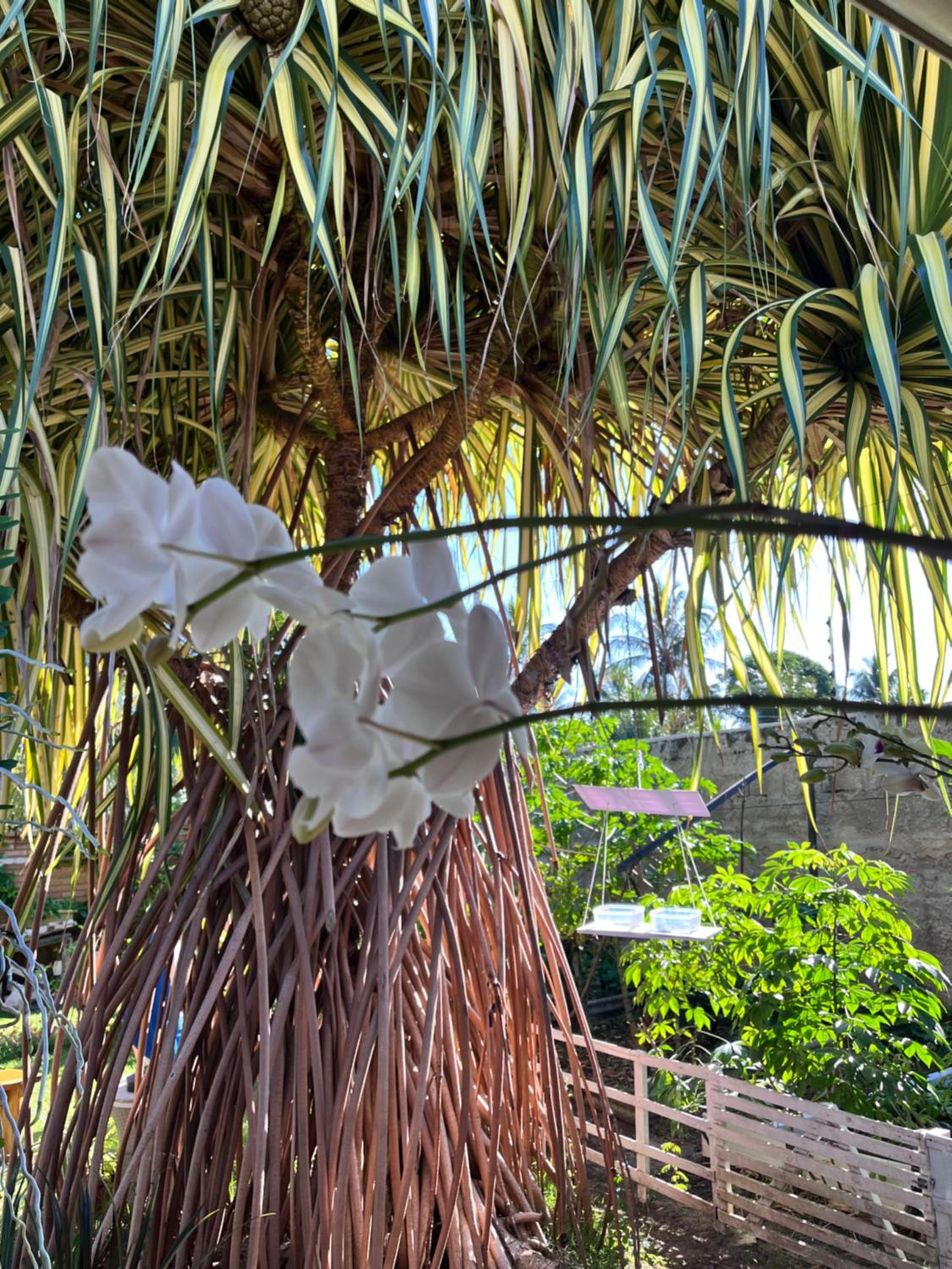 Recanto das Flores Suite Quádruplo