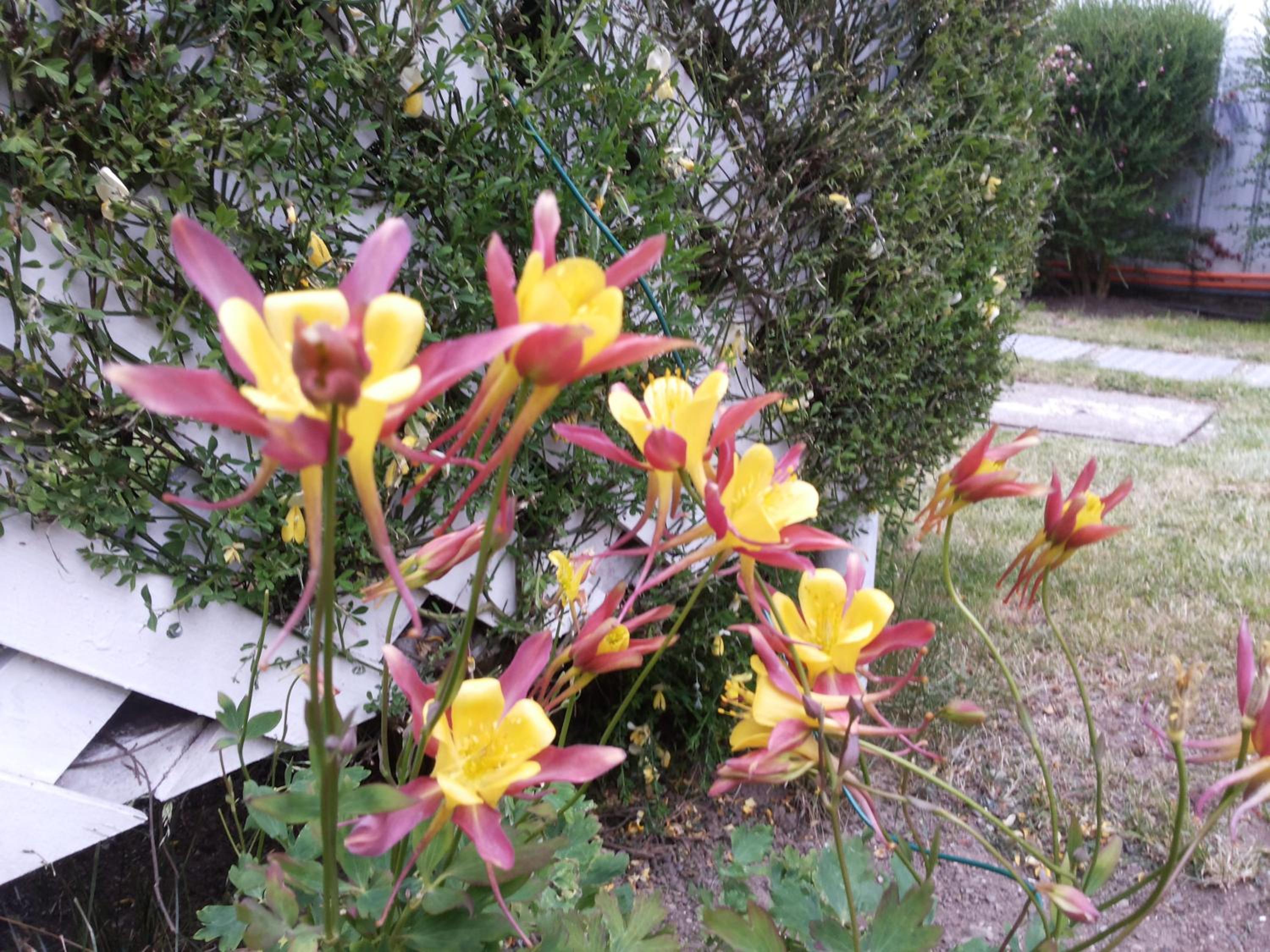 Photo 14