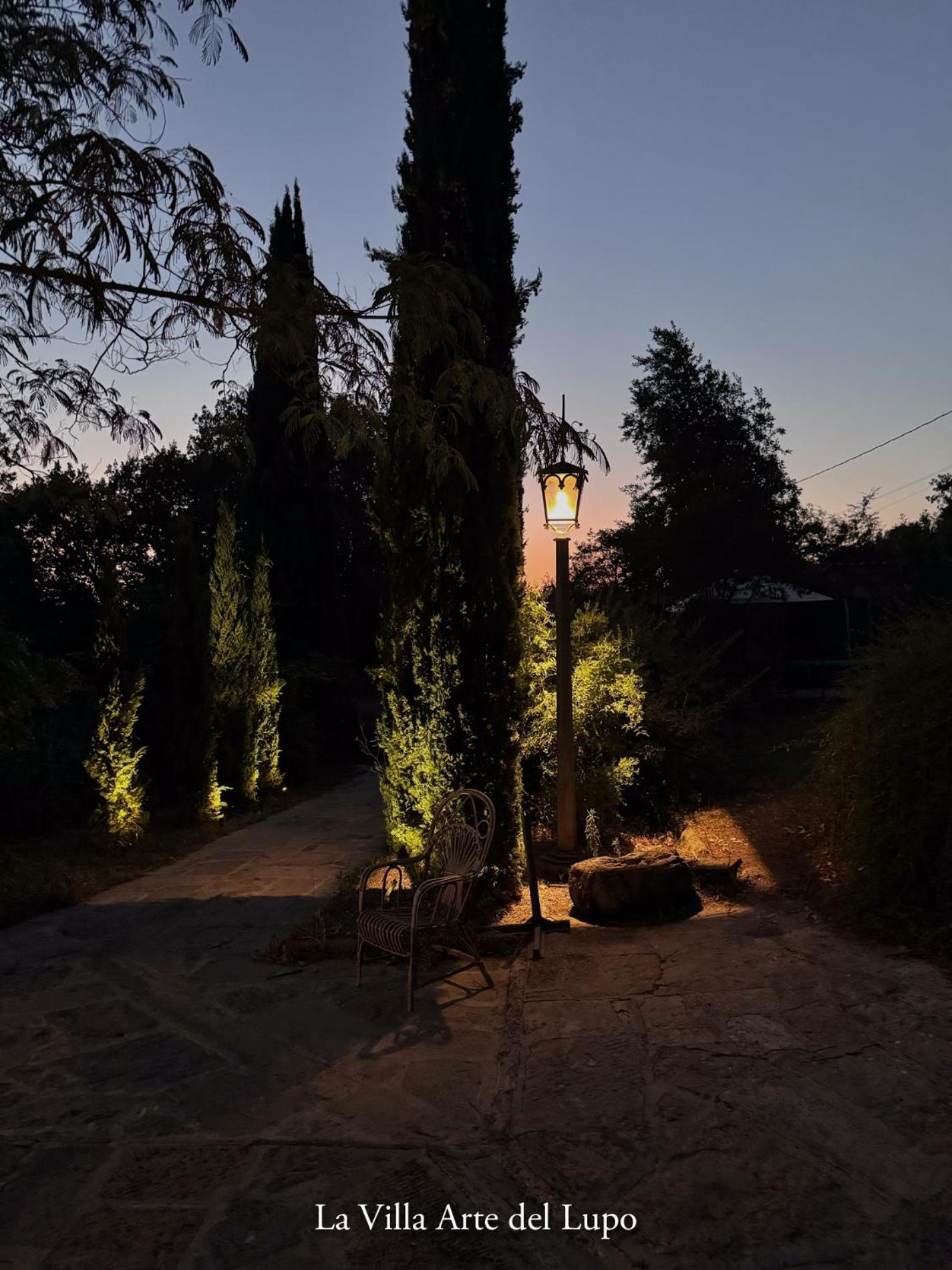 Two Birds-La Villa ARTE del Lupo view 3