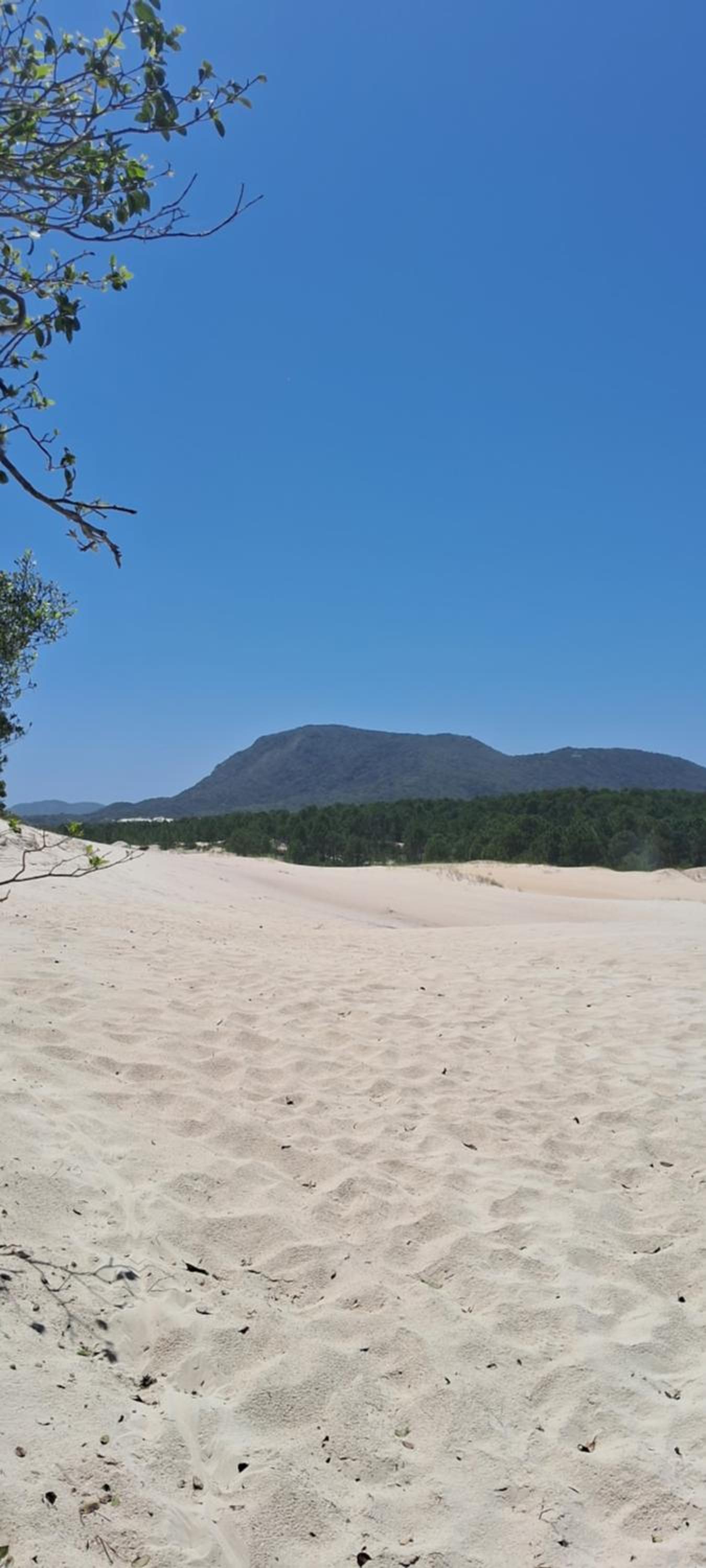 Toca da Suzara Suíte 2 Piscina Rio e Mar num só lugar