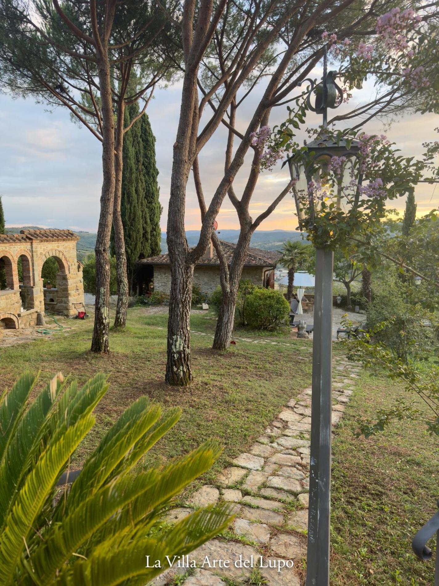 Two Birds-La Villa ARTE del Lupo view 2