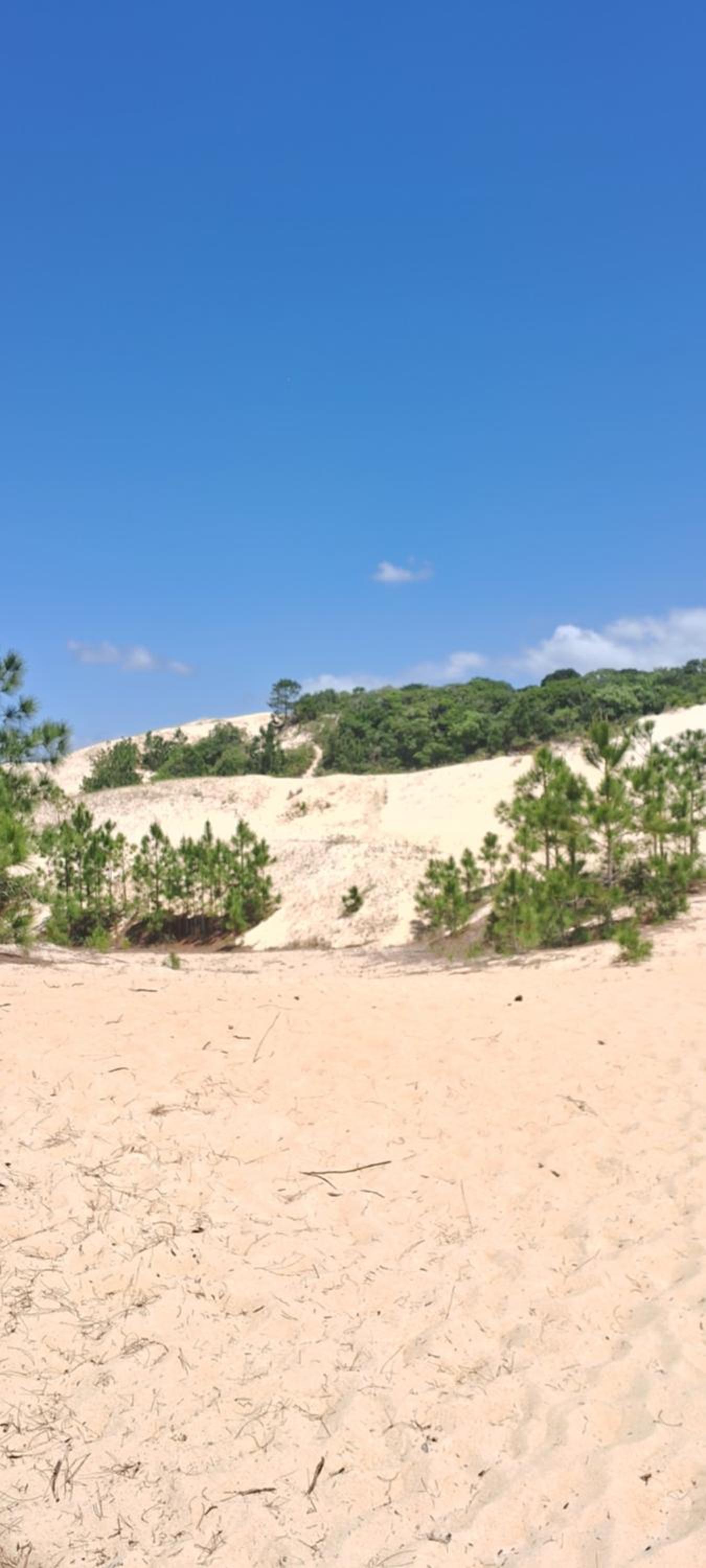 Toca da Suzara Suíte 2 Piscina Rio e Mar num só lugar