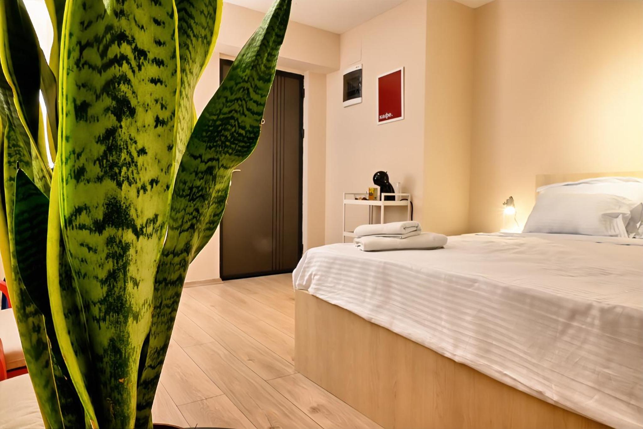 Central Studio Apartments in Debar Maalo