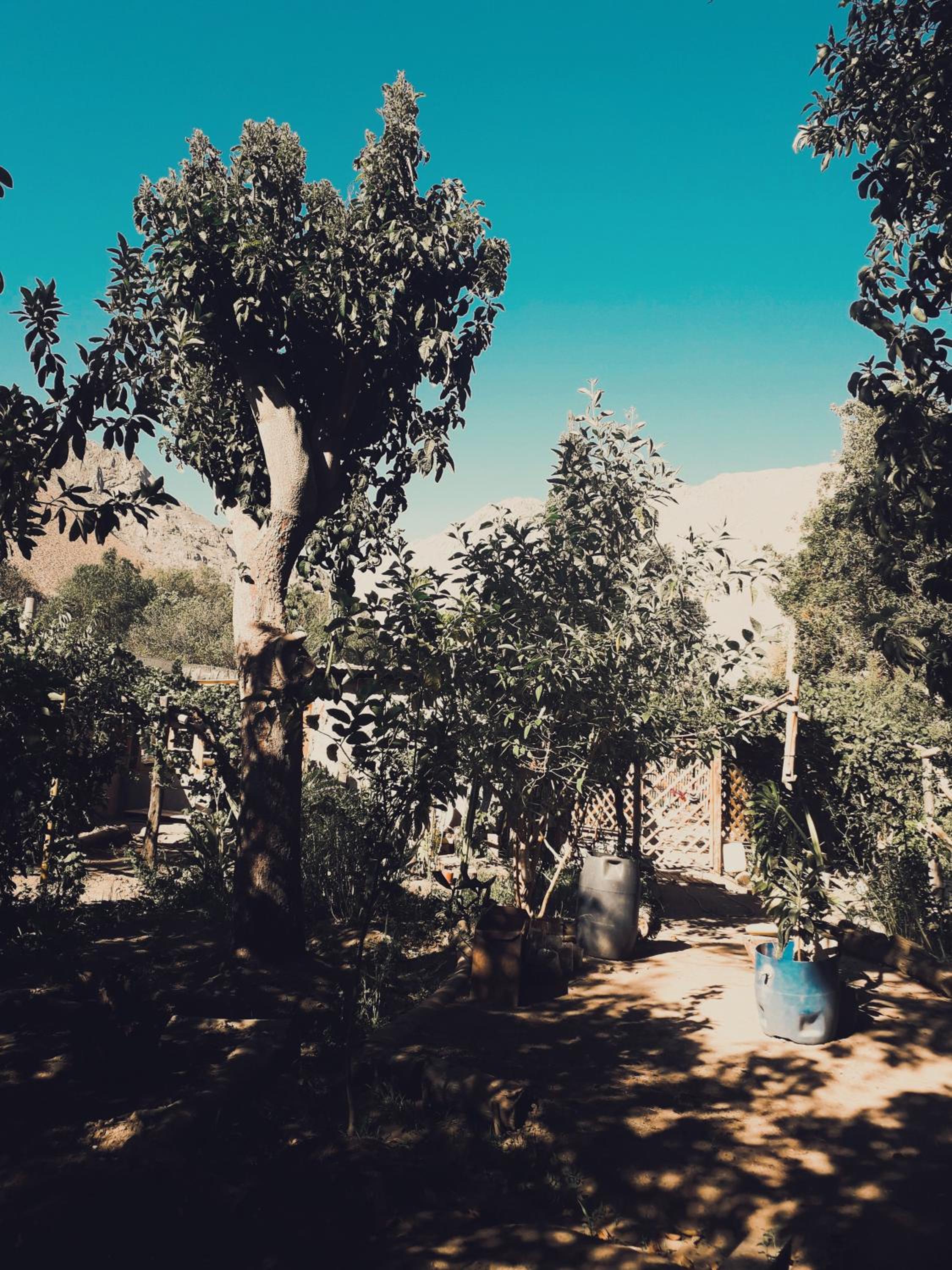 Casa Rivera