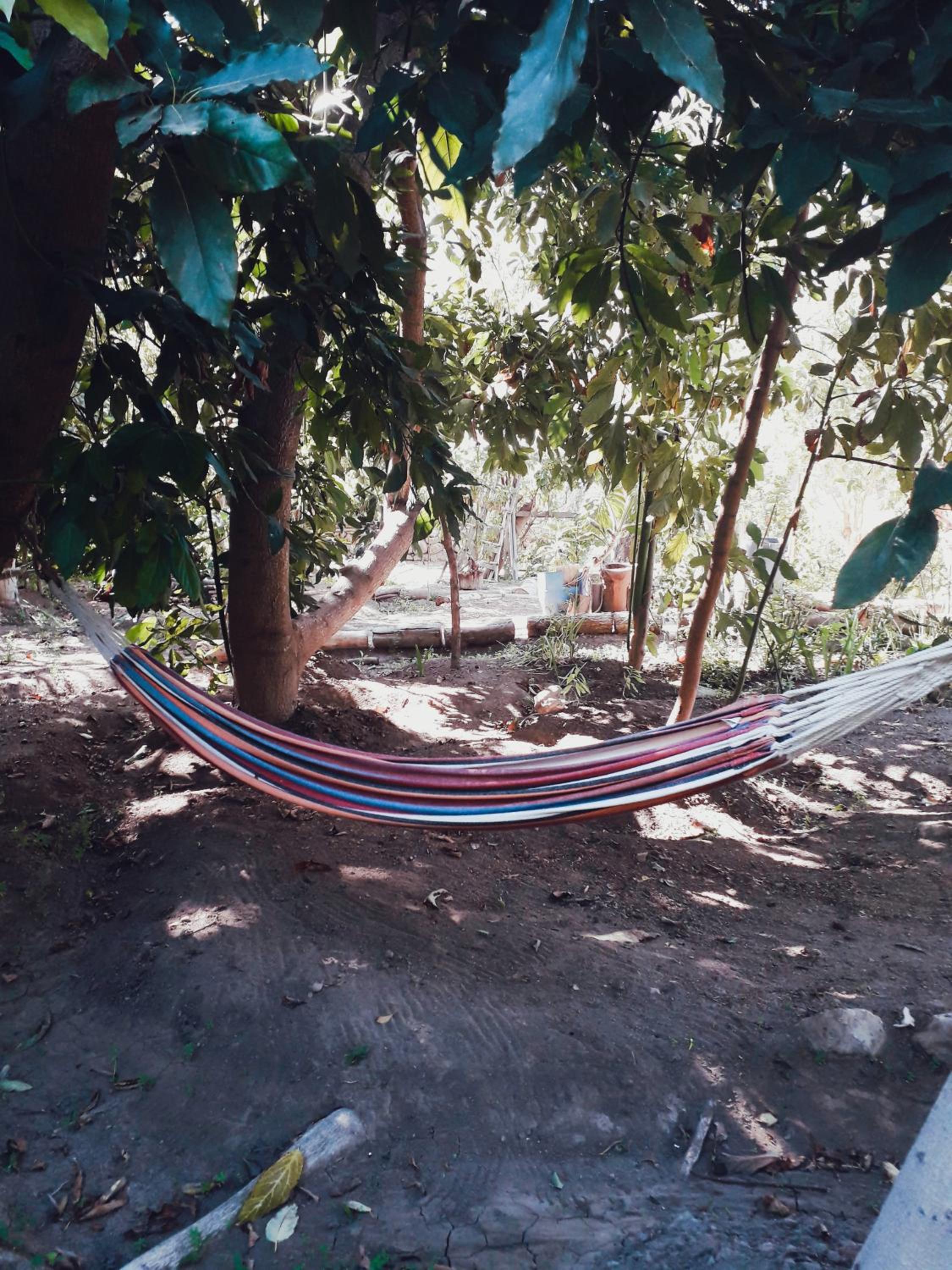 Casa Rivera